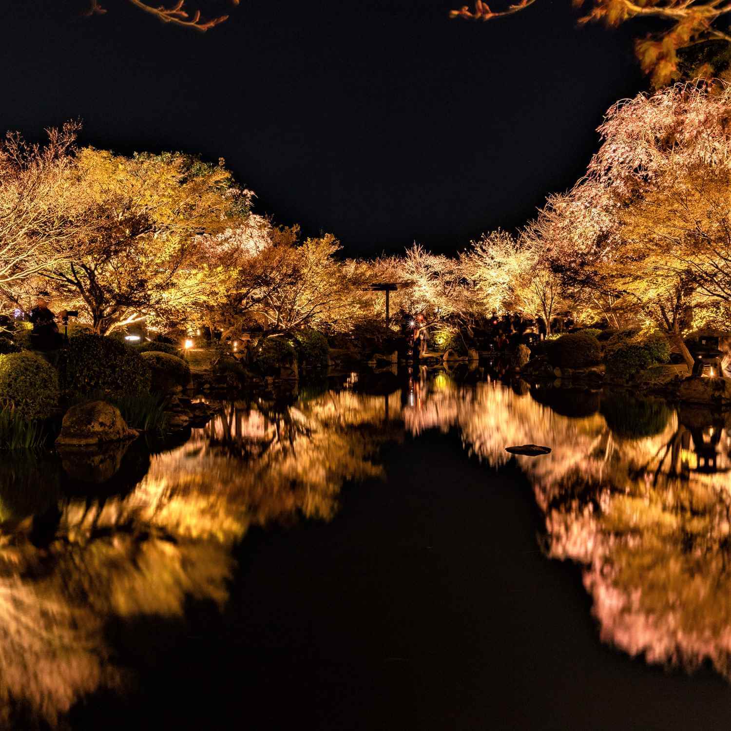 Cherry blossoms in Kyoto = Shutterstock 9