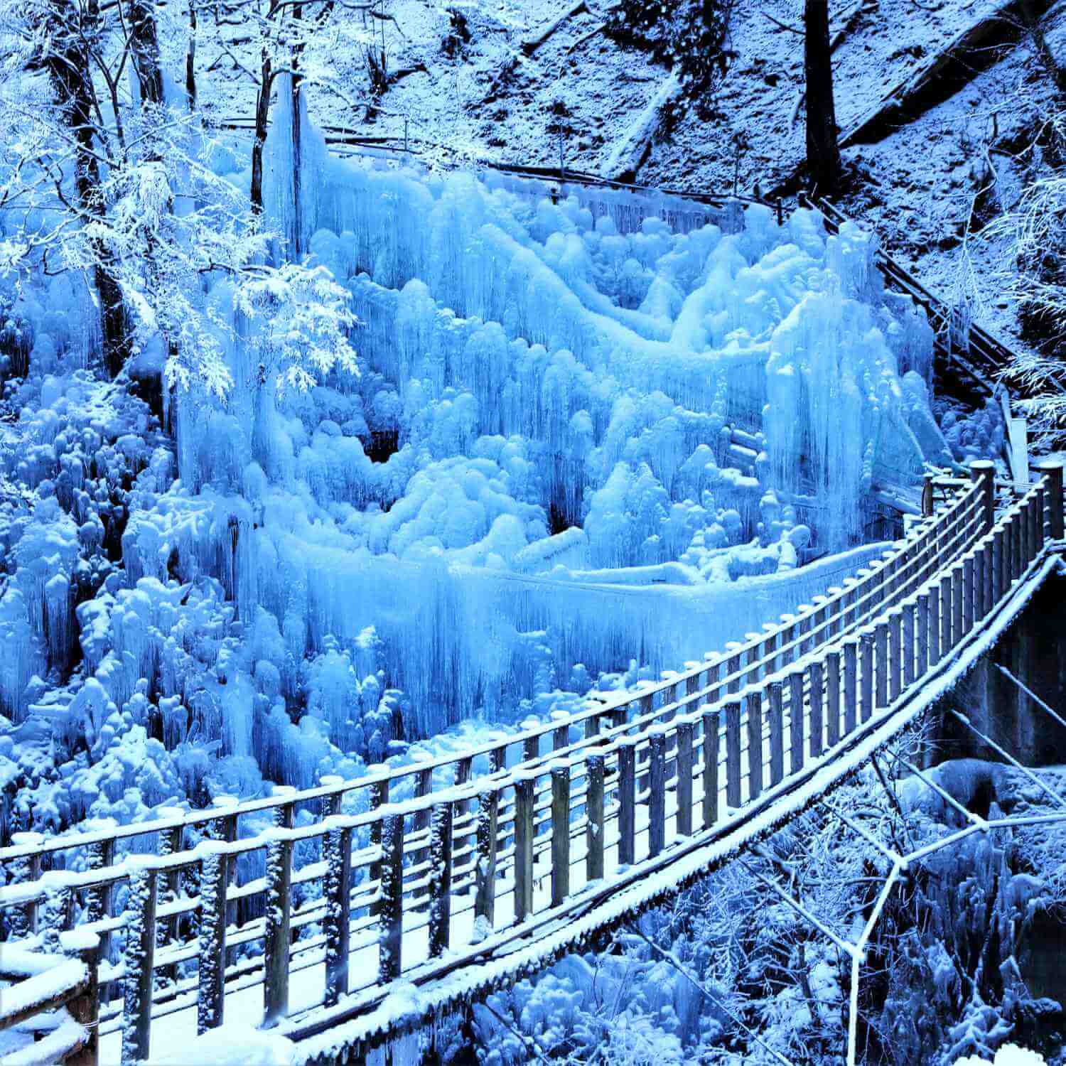 The icicles in Chichibu = Shutterstock 3