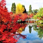 Eikando Zenrin-ji Temple, famous for its beautiful autumn colors, Kyoto = AdobeStock 1