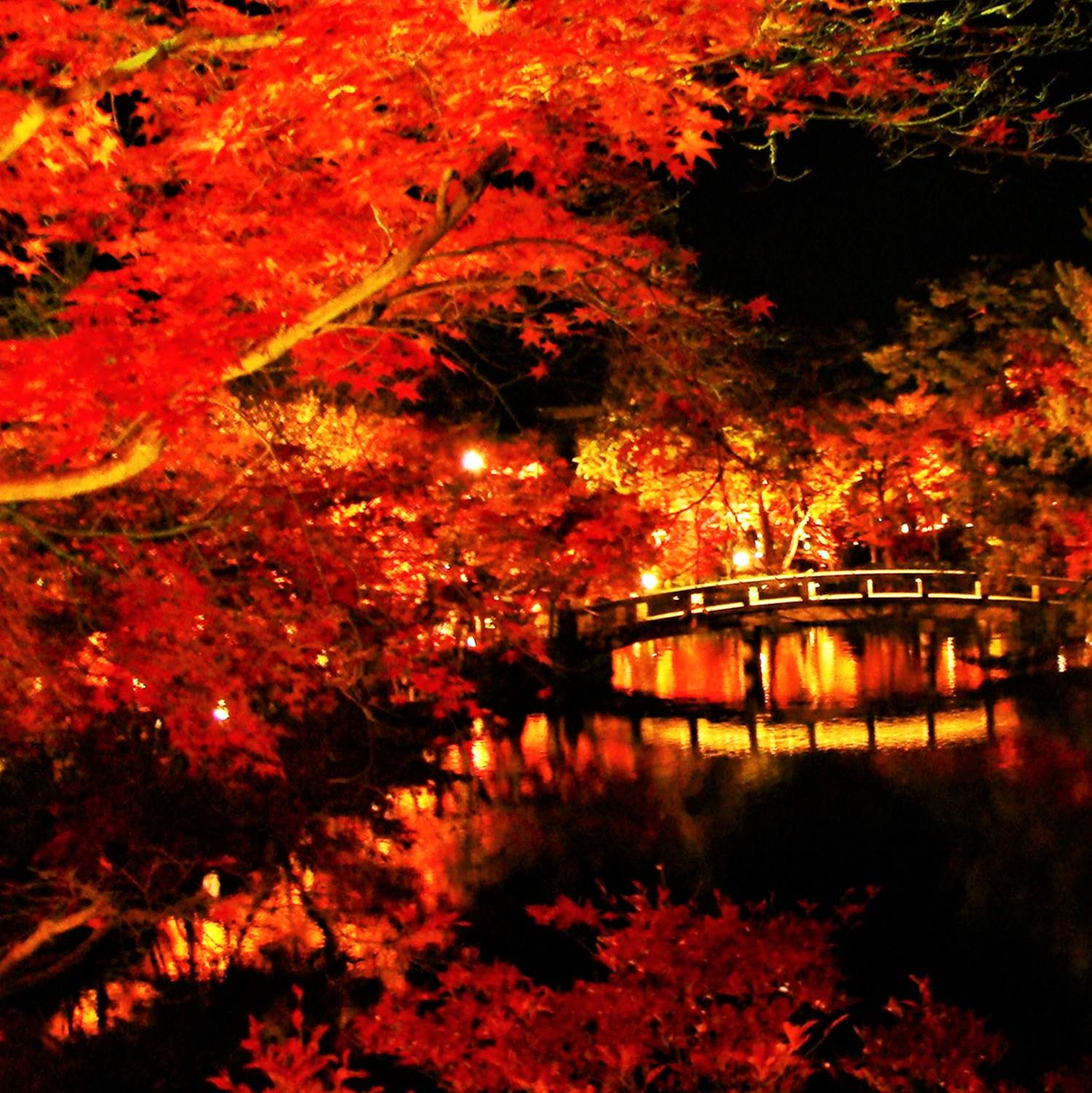 Eikando Zenrin-ji Temple, famous for its beautiful autumn colors, Kyoto= Shutterstock 10