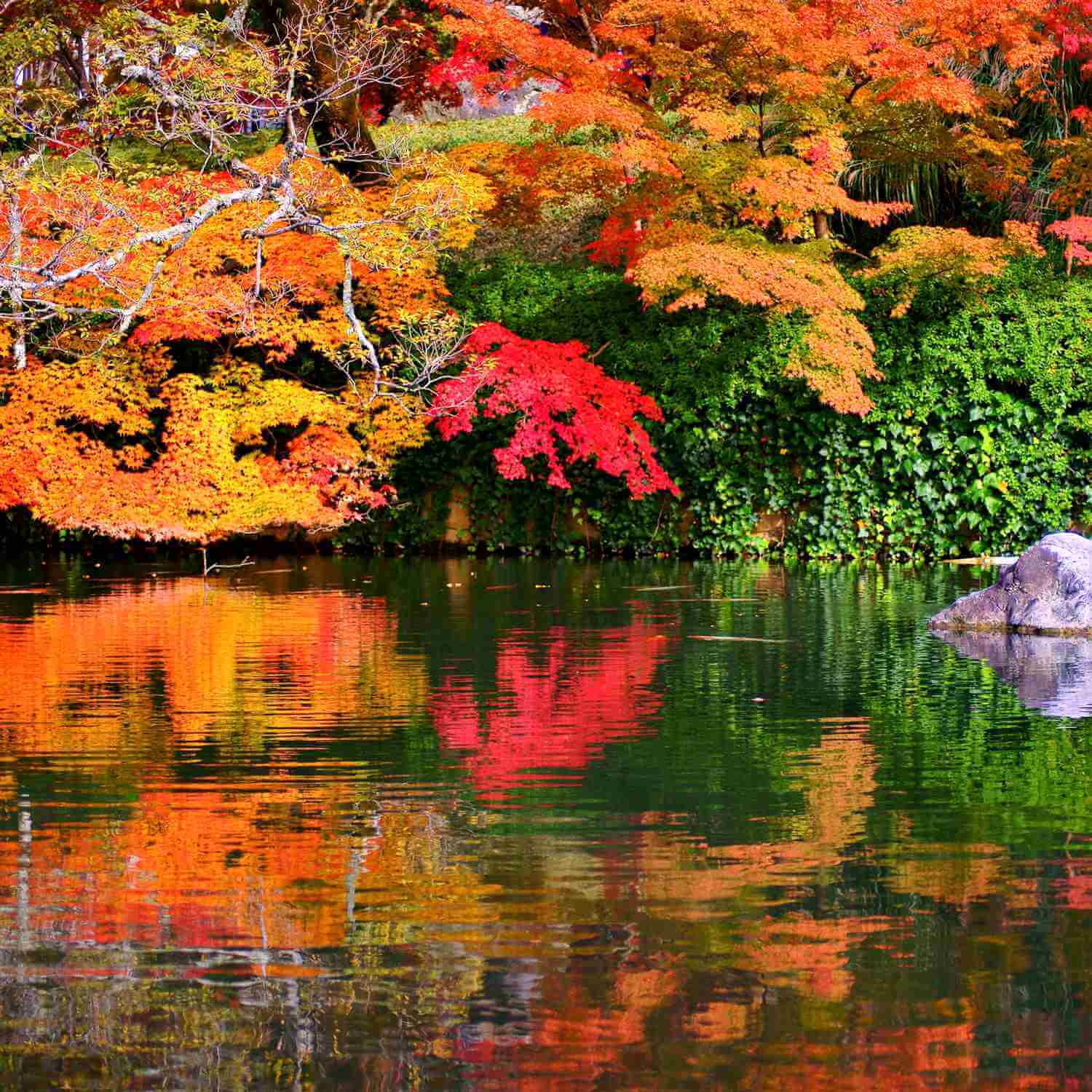 Eikando Zenrin-ji Temple, famous for its beautiful autumn colors, Kyoto= Shutterstock 7