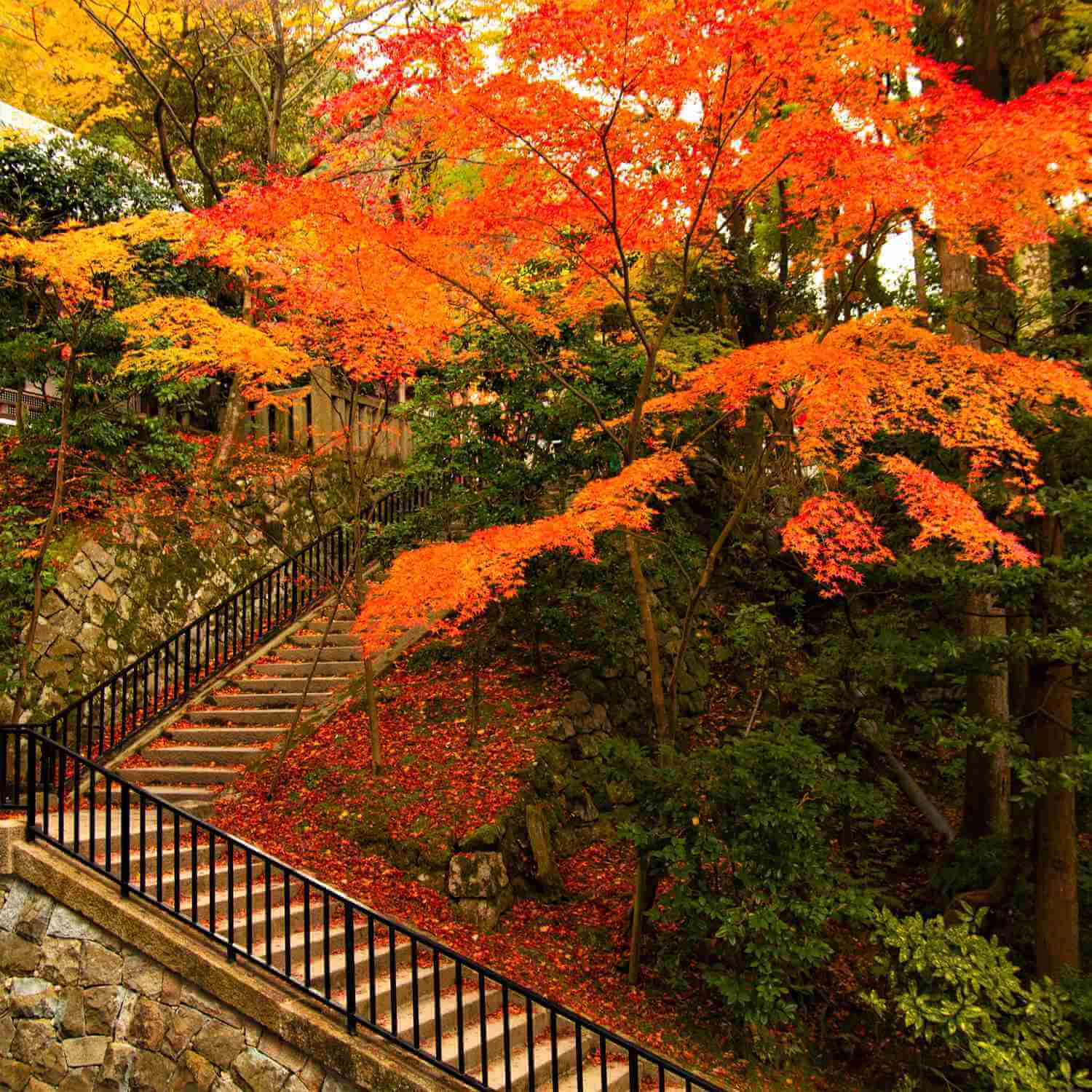 Eikando Zenrin-ji Temple, famous for its beautiful autumn colors, Kyoto= Shutterstock 8