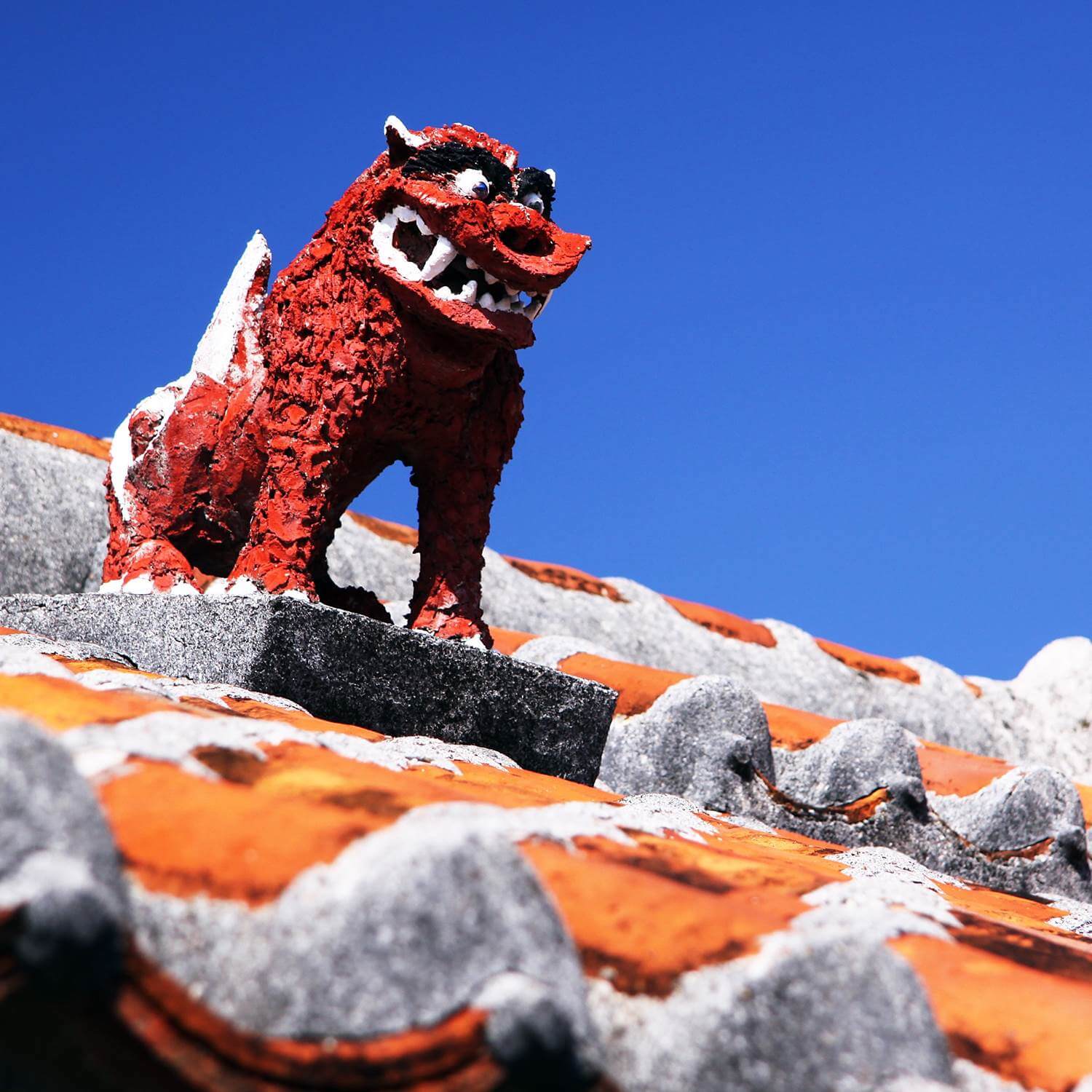 Shisa, which is said to drive away evil spirits, is placed on the roofs of Okinawan houses, Okinawa = Shutterstock