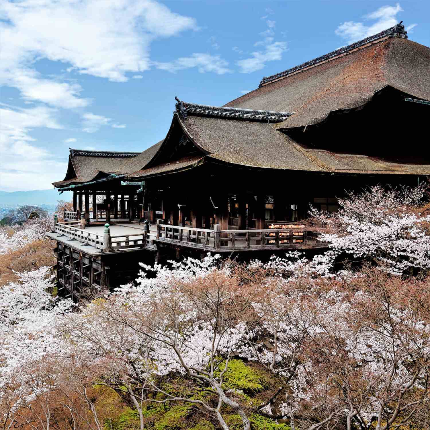 Kiyomizudera Temple in Kyoto = Shutterstock 1