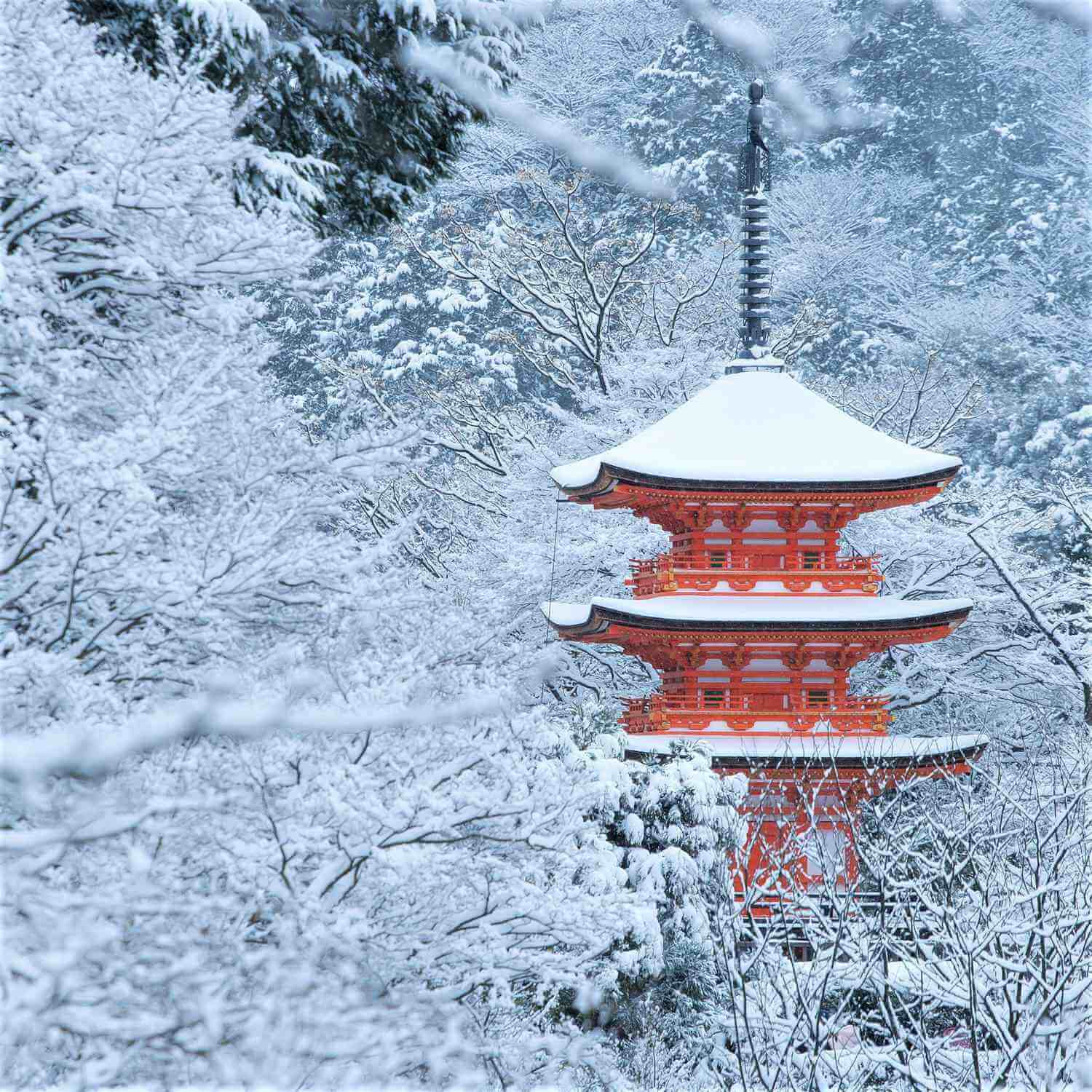 Kiyomizudera Temple in Kyoto = Shutterstock 7
