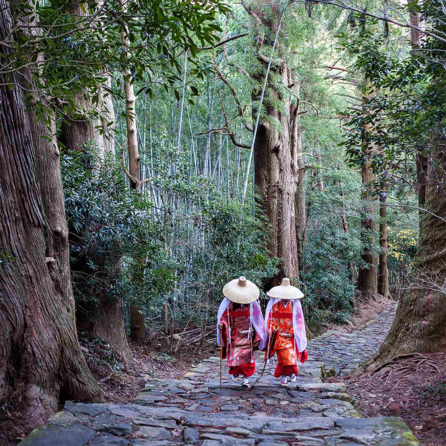 Kumano Kodo Pilgrimage Route in Wakayama Prefecture, Japan = Shutterstock 3