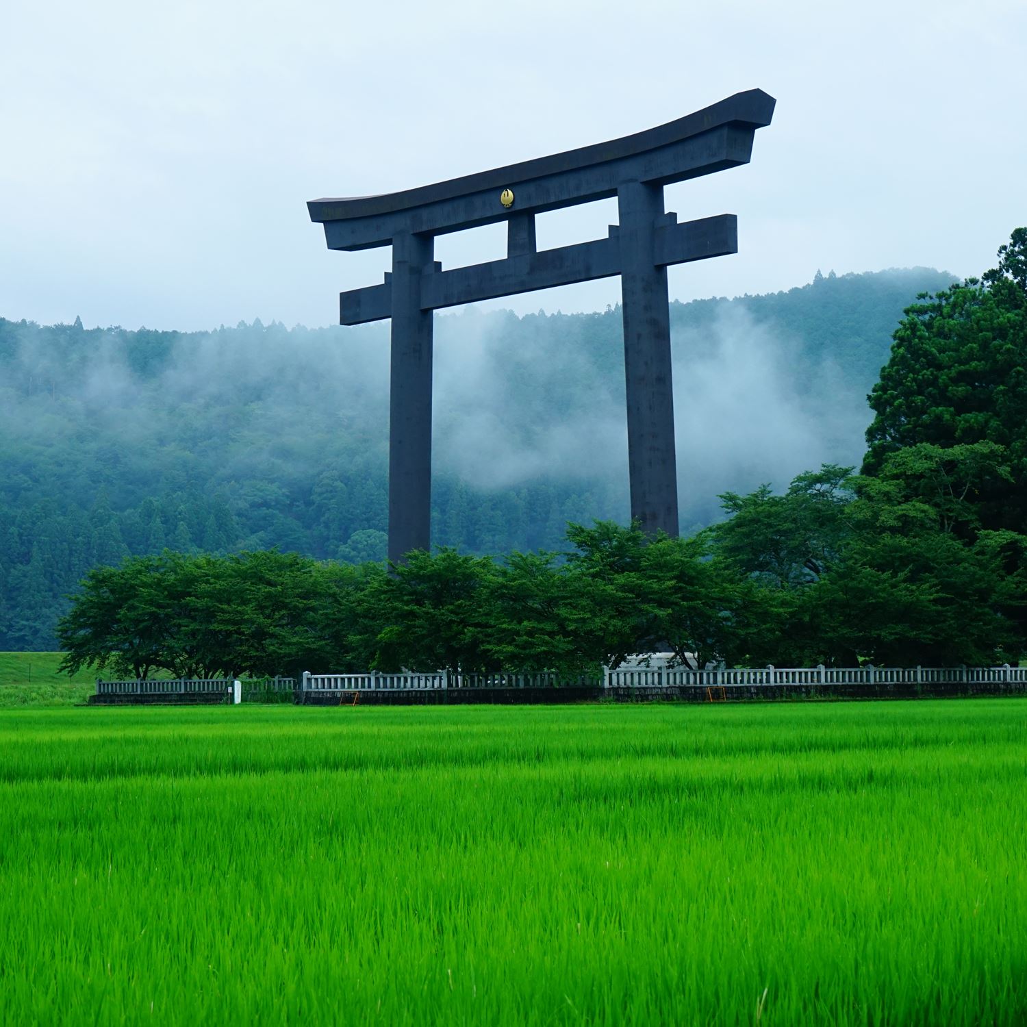 Kumano Kodo Pilgrimage Route in Wakayama Prefecture, Japan = Shutterstock 5