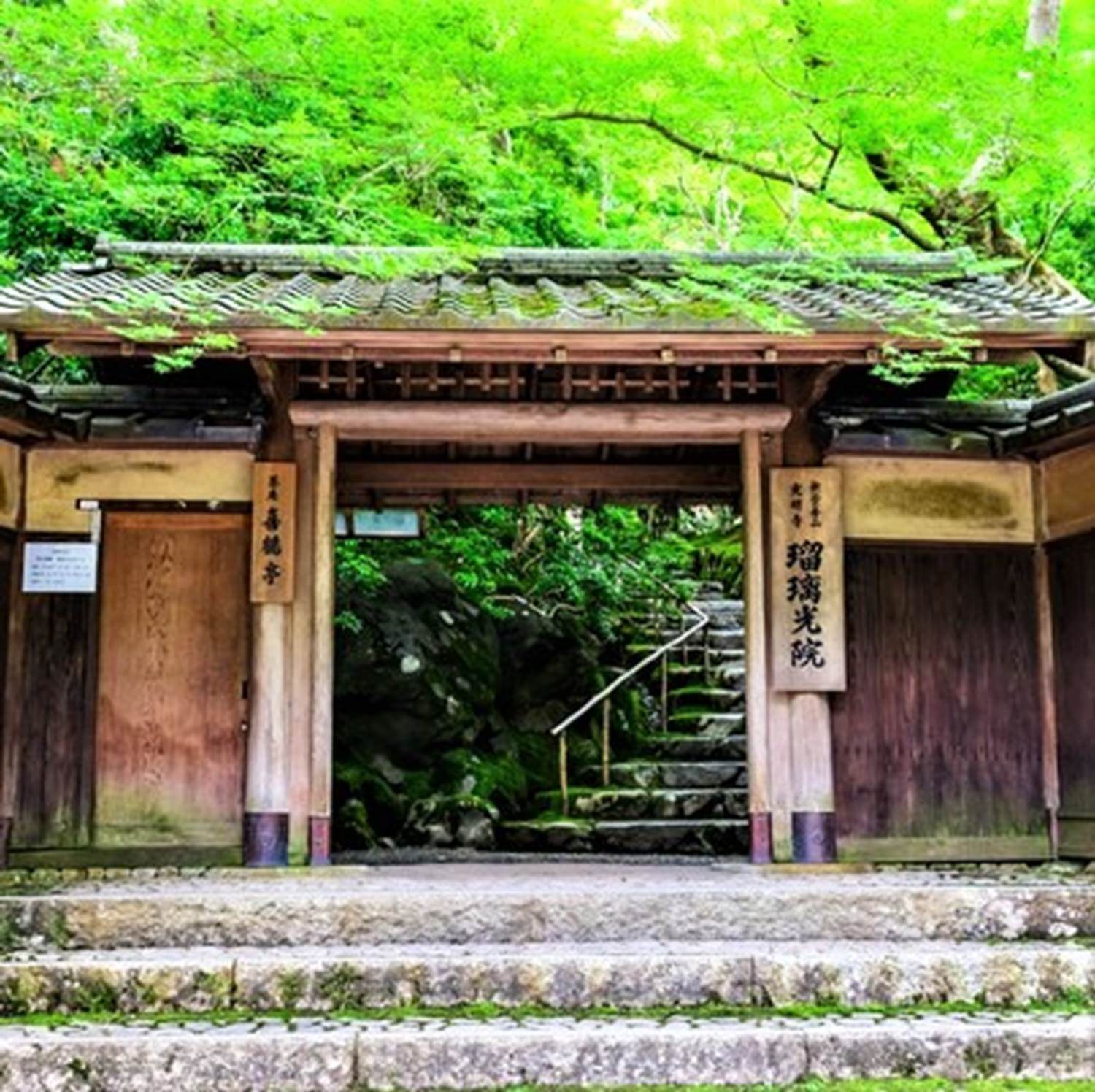The Magic of Rurikoin Temple in Kyoto = Pixta 1