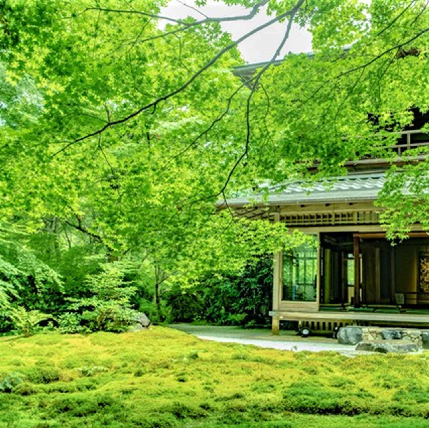 The Magic of Rurikoin Temple in Kyoto = Pixta 2
