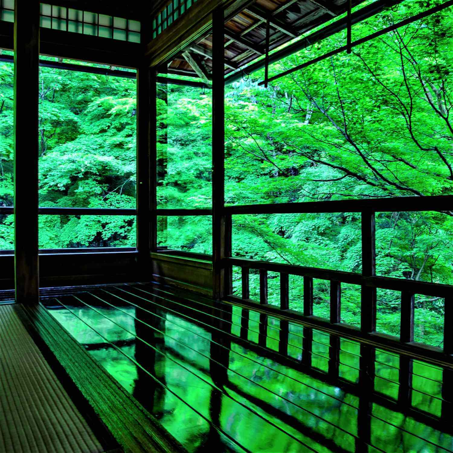 The Magic of Rurikoin Temple in Kyoto =Shutterstock 4