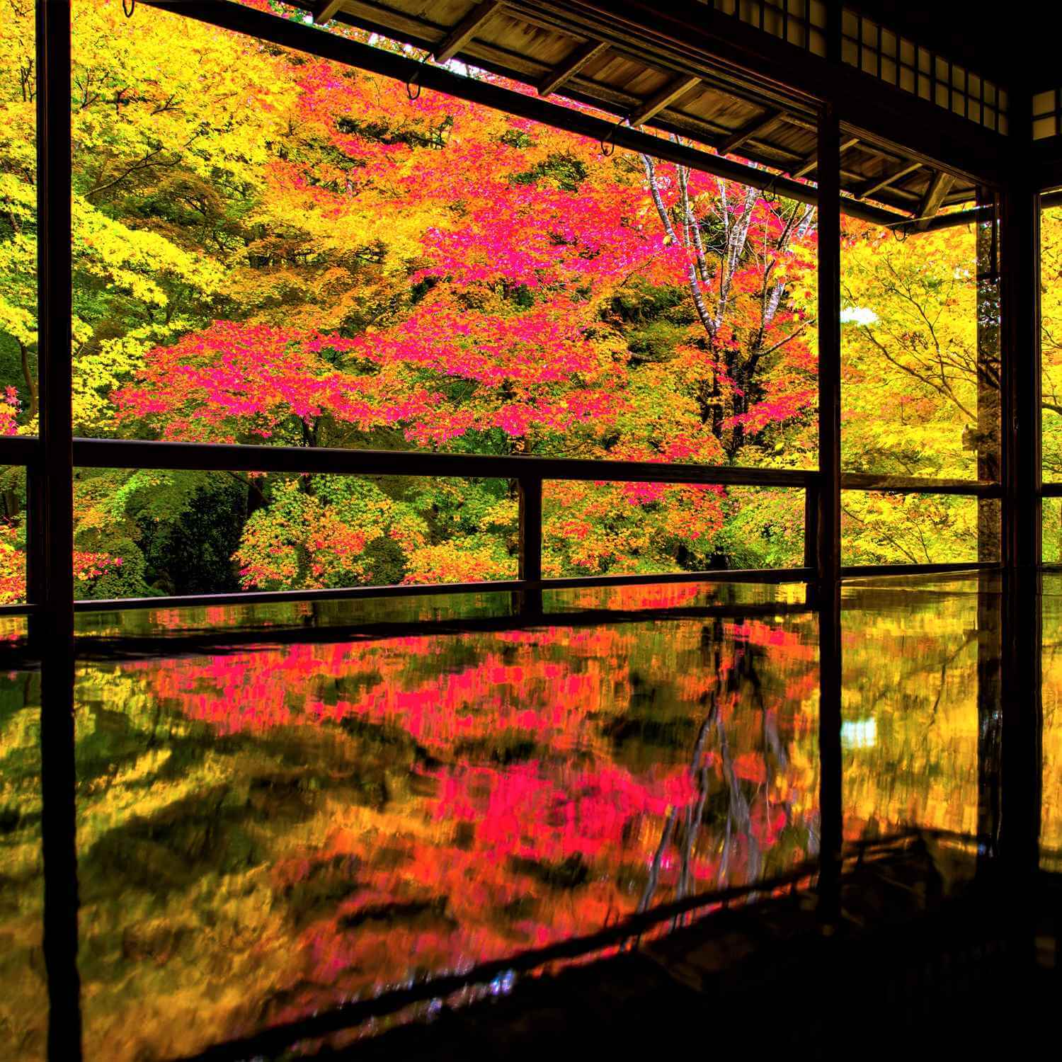 Photos: The Magic of Rurikoin Temple in Kyoto