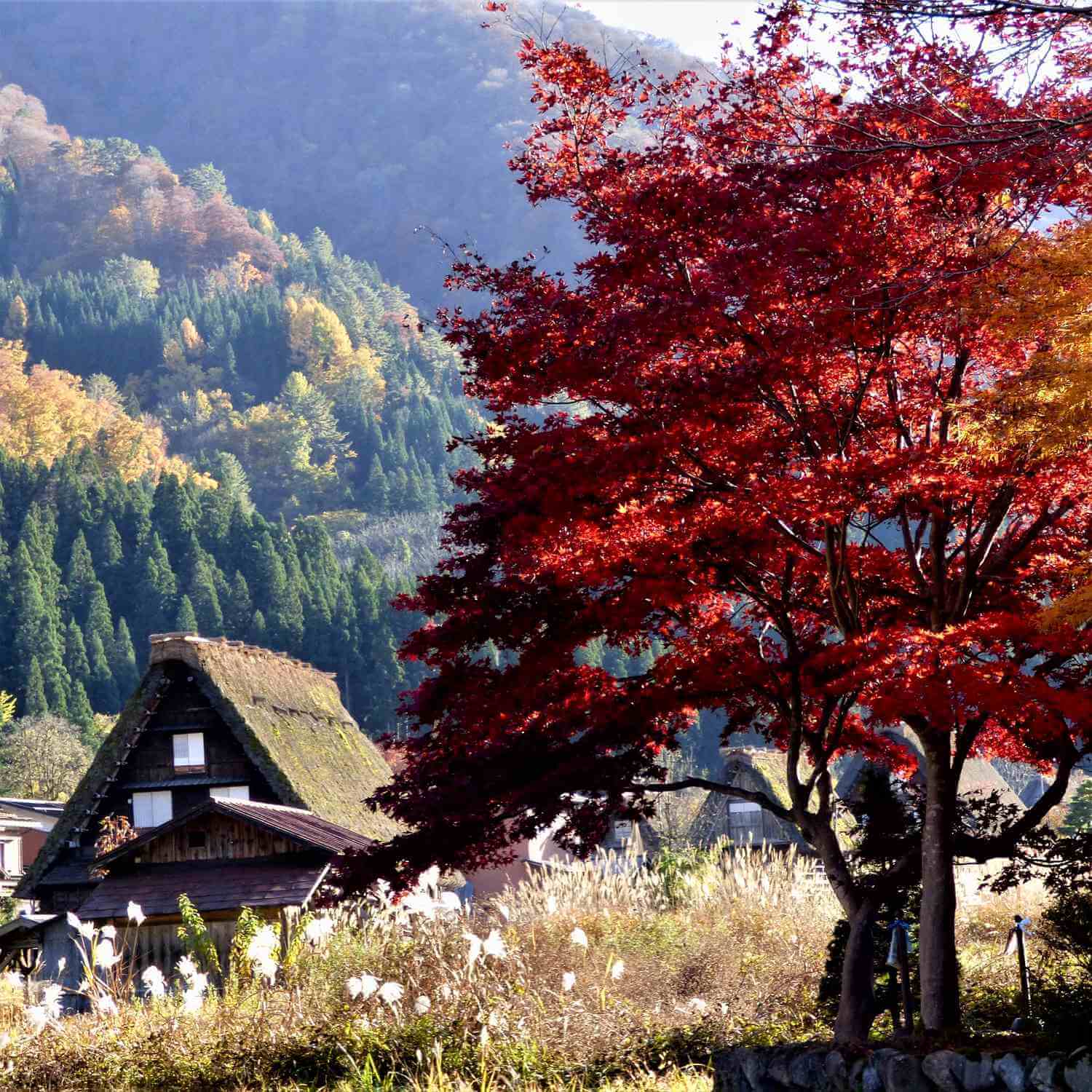 Shirakawago Village in autumn = Shutterstock 3