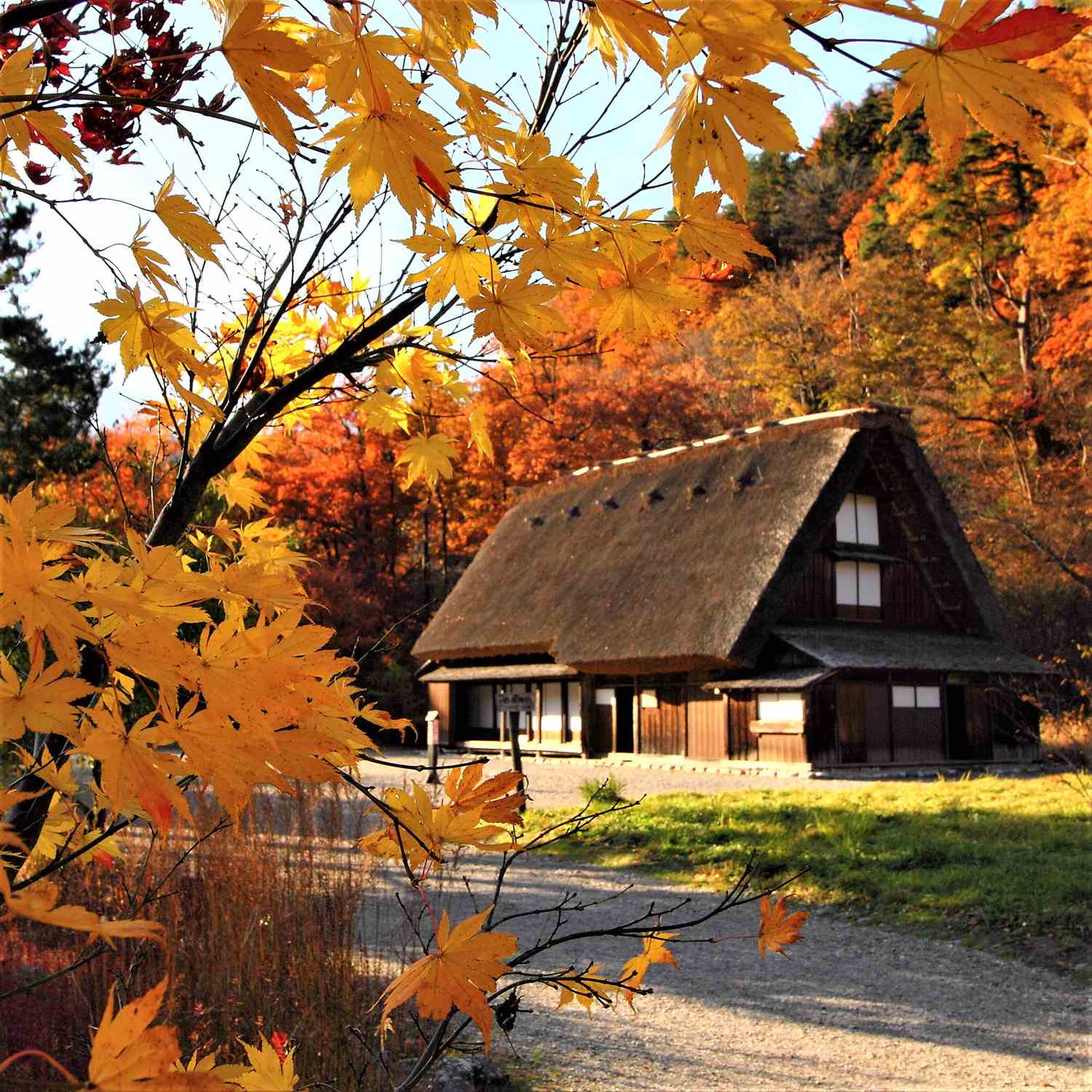 Shirakawago Village in autumn = Shutterstock 4