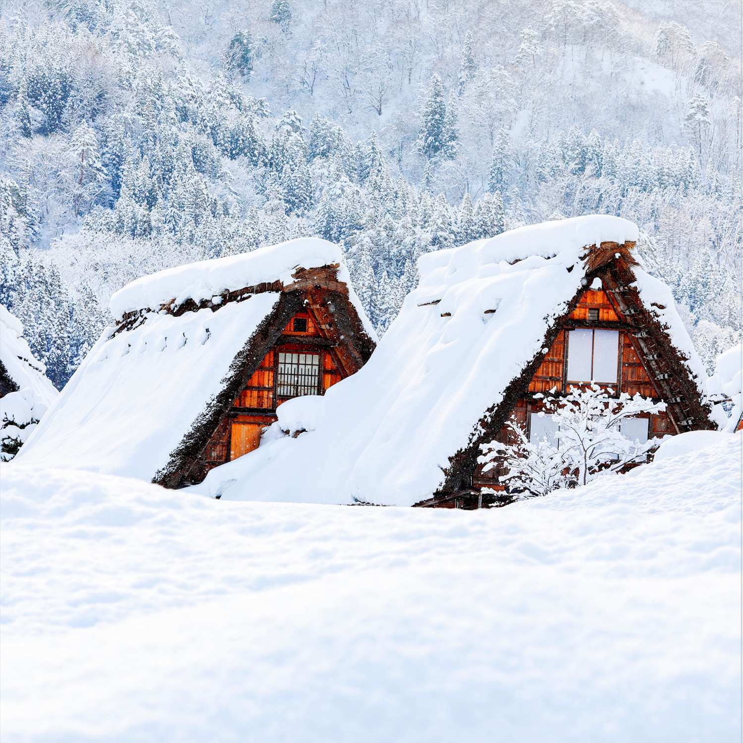 shirakawago village with the Snow falling day = Shutterstock 2