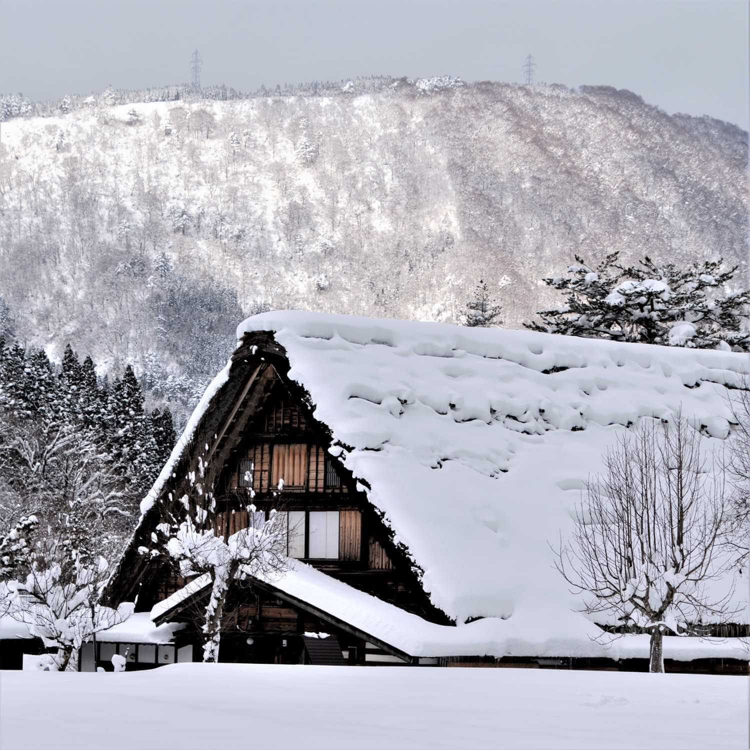 Shirakawago Villadge in winter, Gifu Prefecture = AdobeStock 3