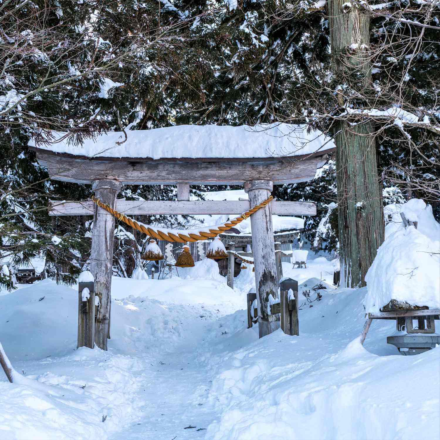 Snow with Shirakawa Hachiman Shrine, Shirakawago village, Gifu Prefecture = Shutterstock 4