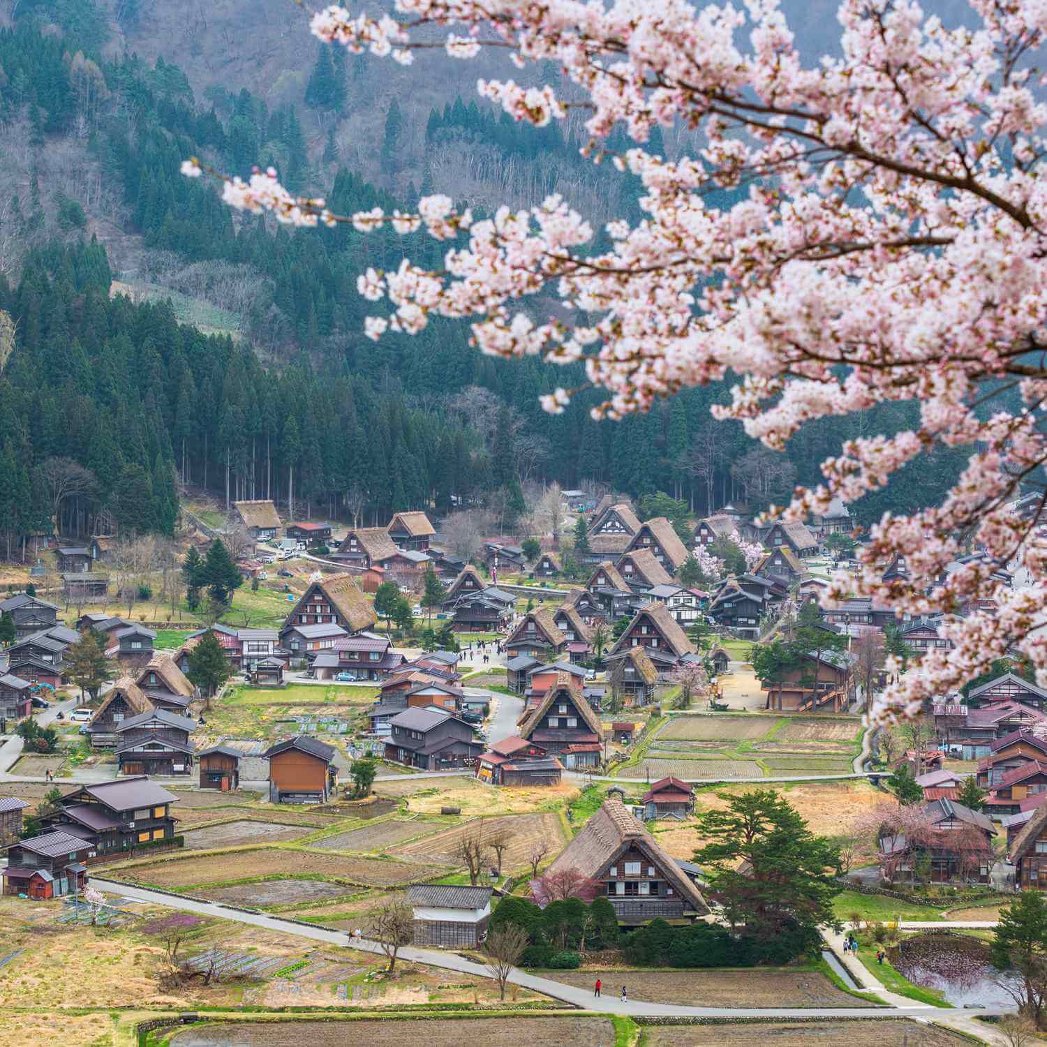 Shirakawago in spring = Shutterstock 1