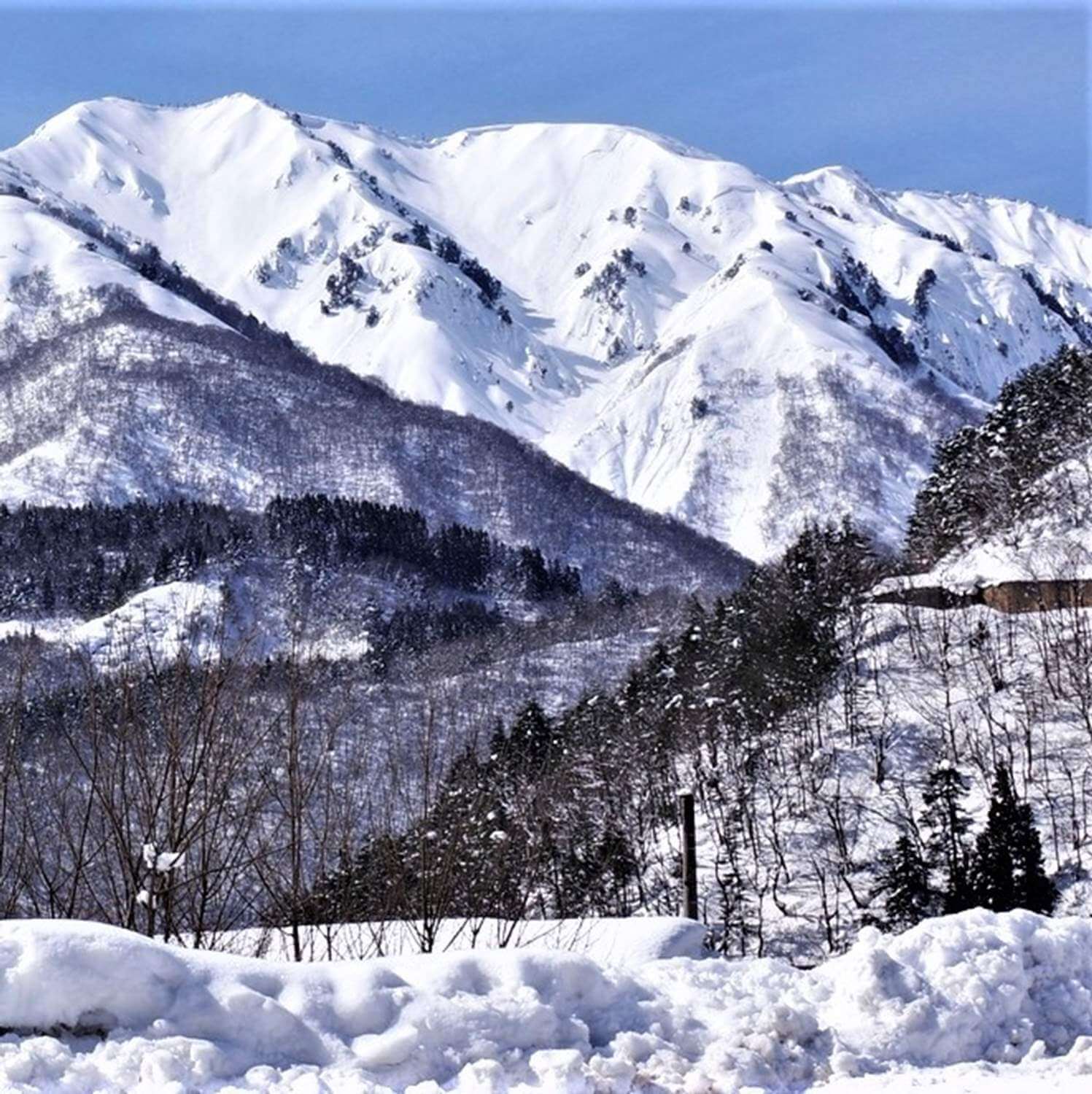 Shirakawago Villadge in winter, Gifu Prefecture = Pixta 6