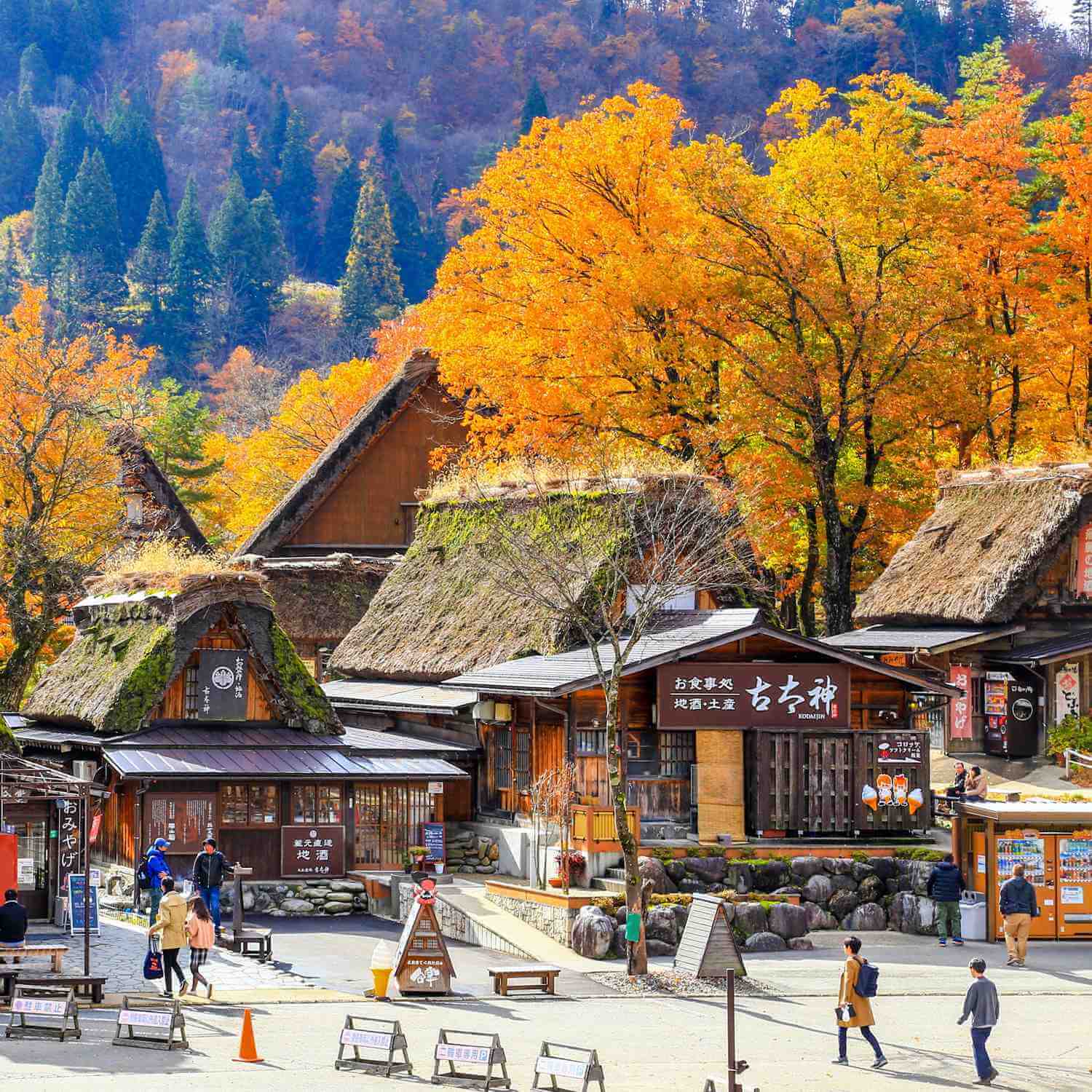 Shirakawago in autumn = Shutterstock 1