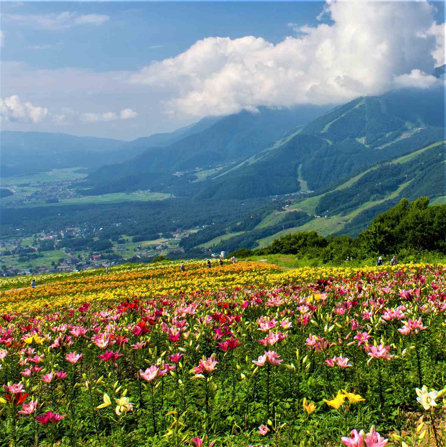 Hakuba in Nagano Prefecture = Shutterstock 4