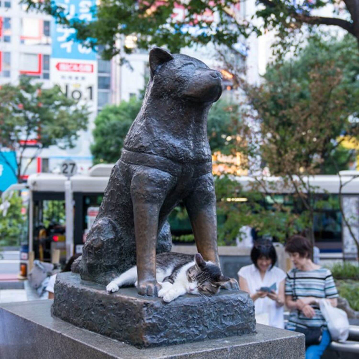 Akita dog is gaining popularity worldwide = Shutterstock 1