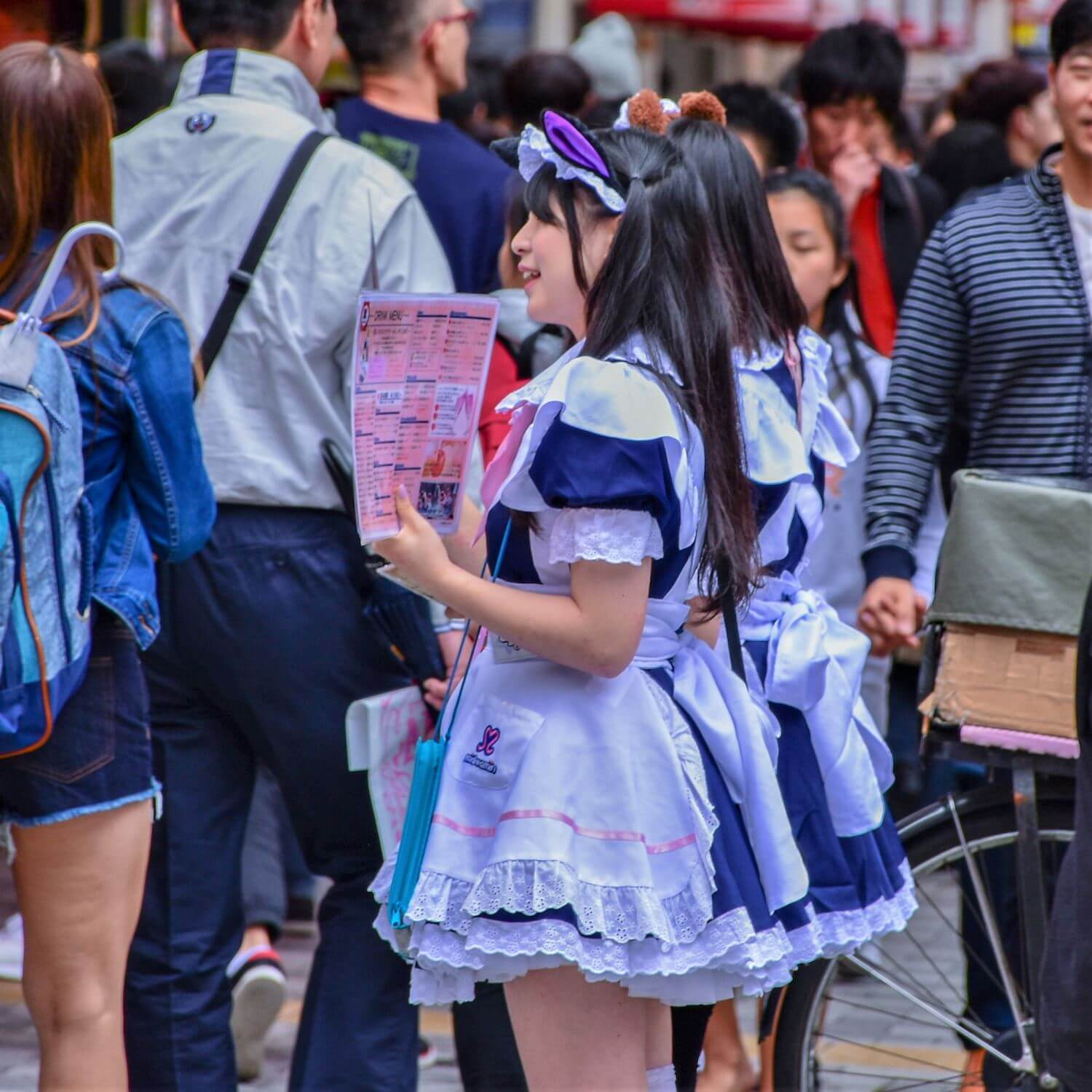 The streets of Akihabara in Tokyo, Japan = Shutterstock 8