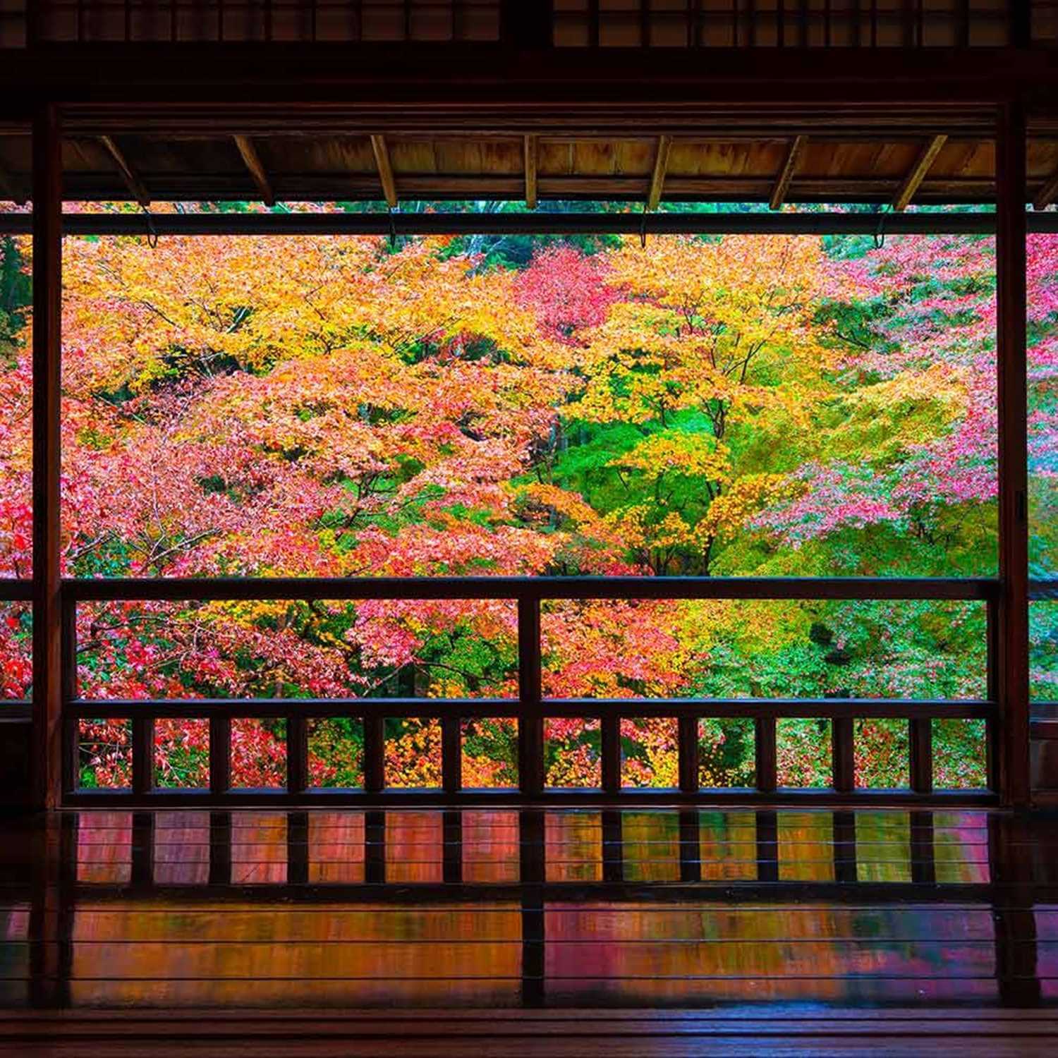 Japanese garden seen from the room = Adobe Stock 2