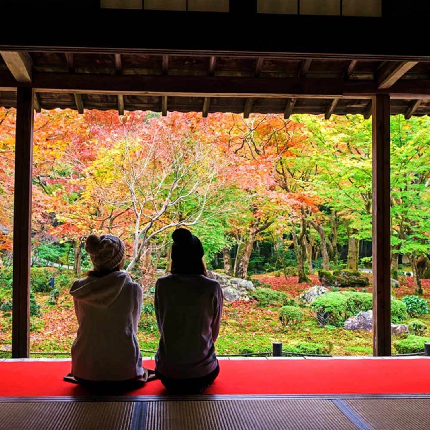 Japanese garden seen from the room = Shutterstock 5
