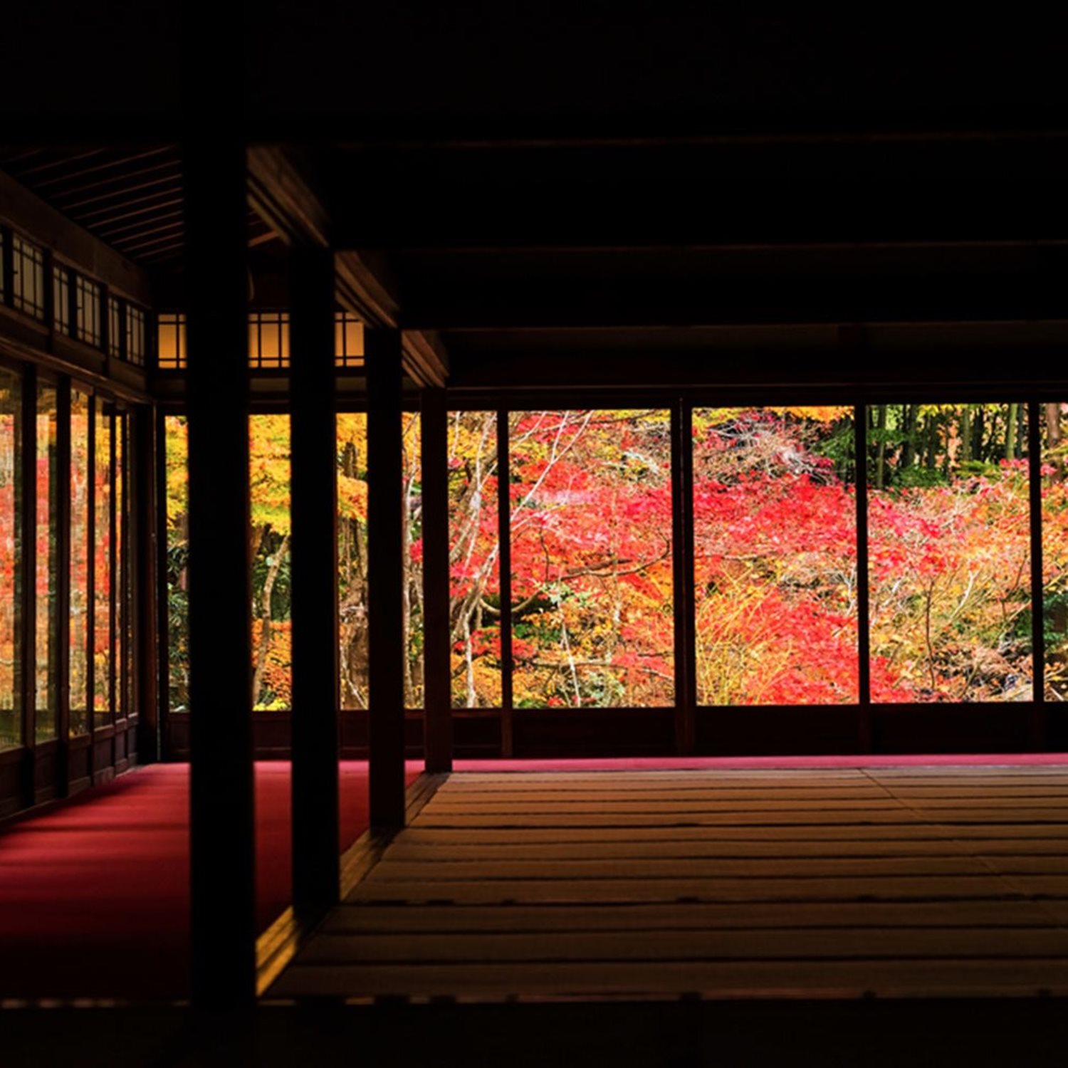 Japanese garden seen from the room = Shutterstock 6