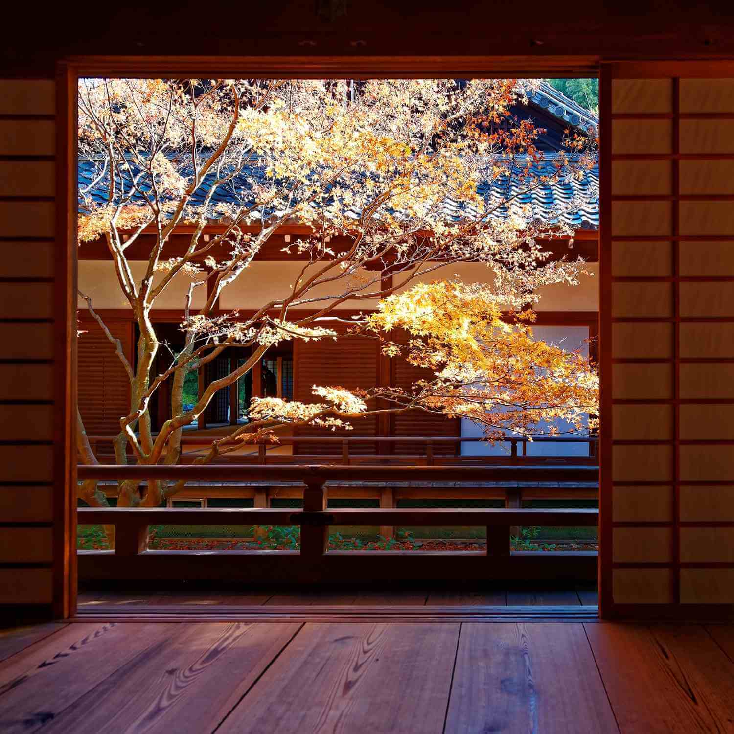 Japanese garden seen from the room = Shutterstock 8