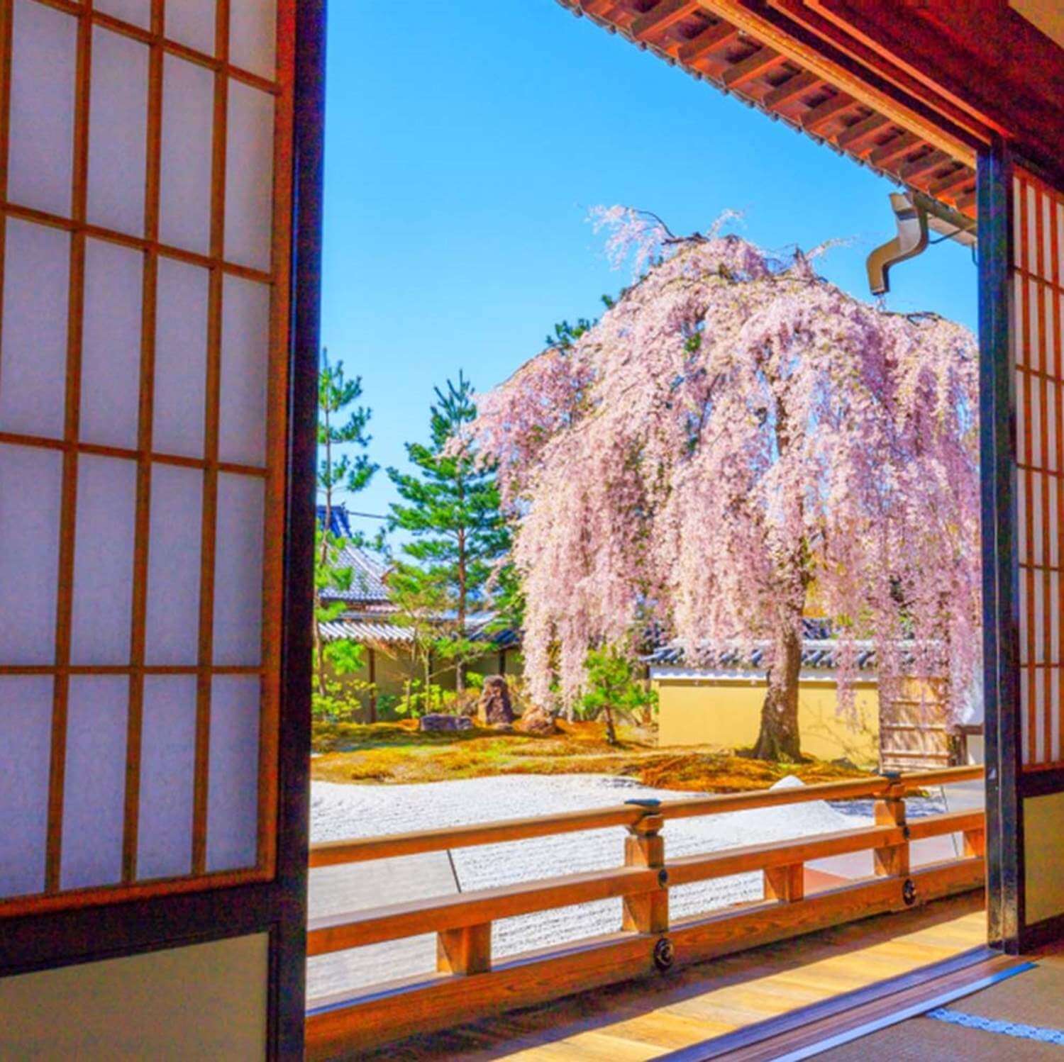 Japanese garden seen from the room = Shutterstock 9