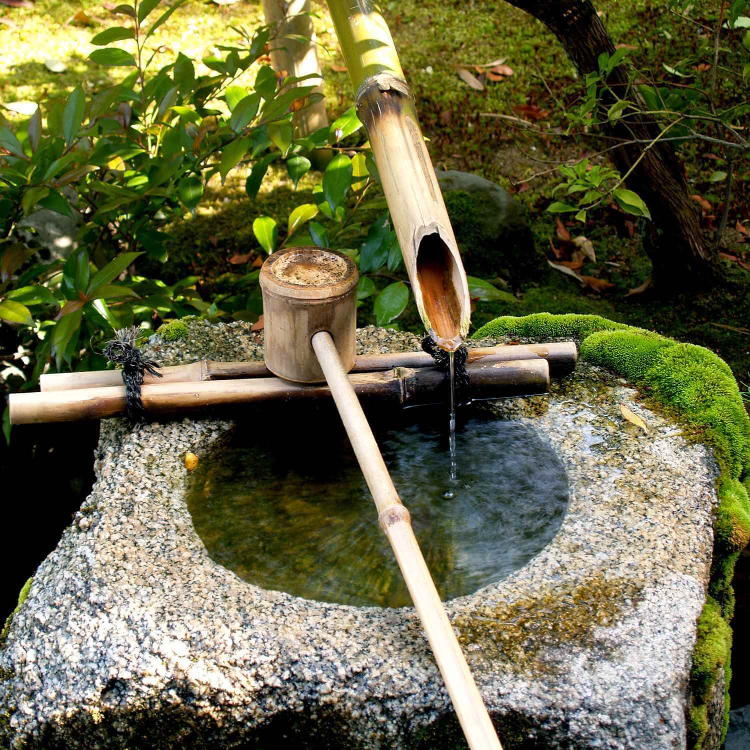 You can find various bamboo products in Japanese gardens, etc. = Shutterstock