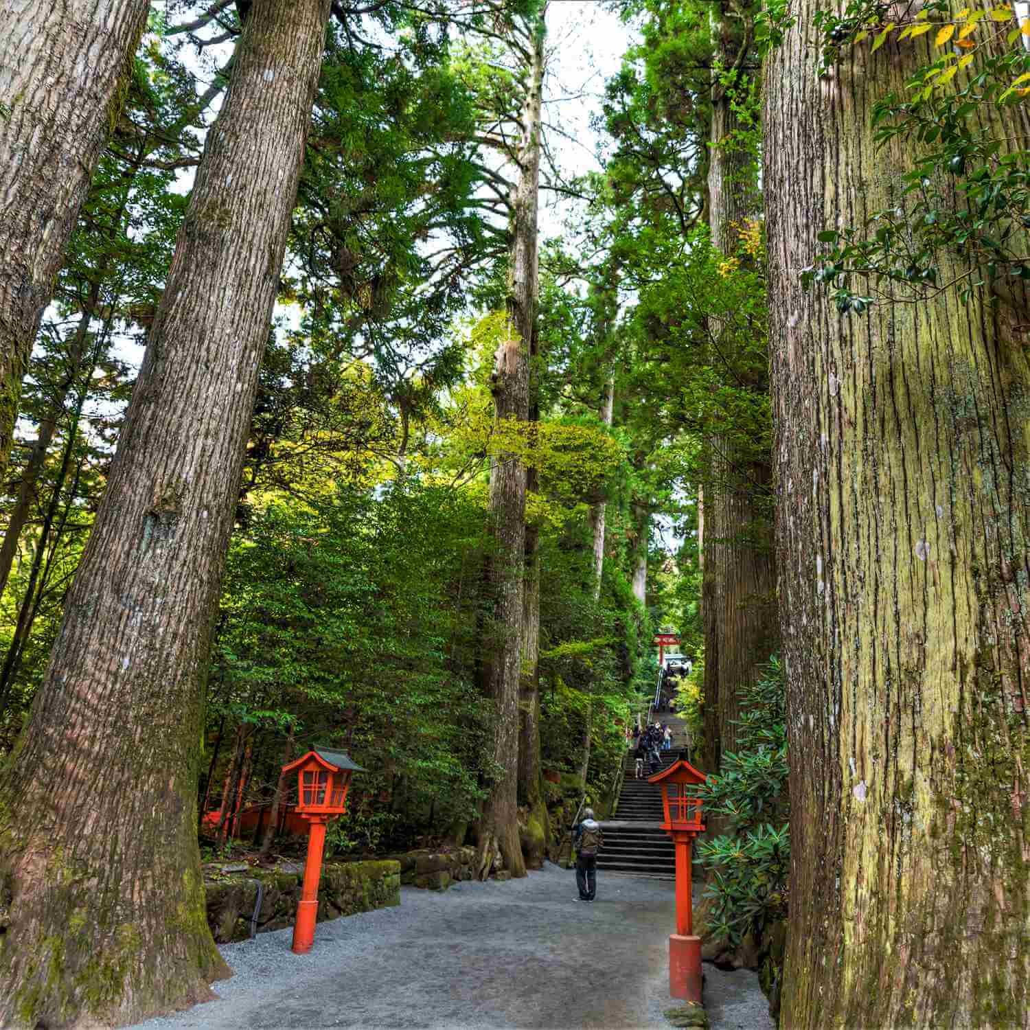 Hakone Shrine in Kanagawa Prefcture = Shutterstock 5