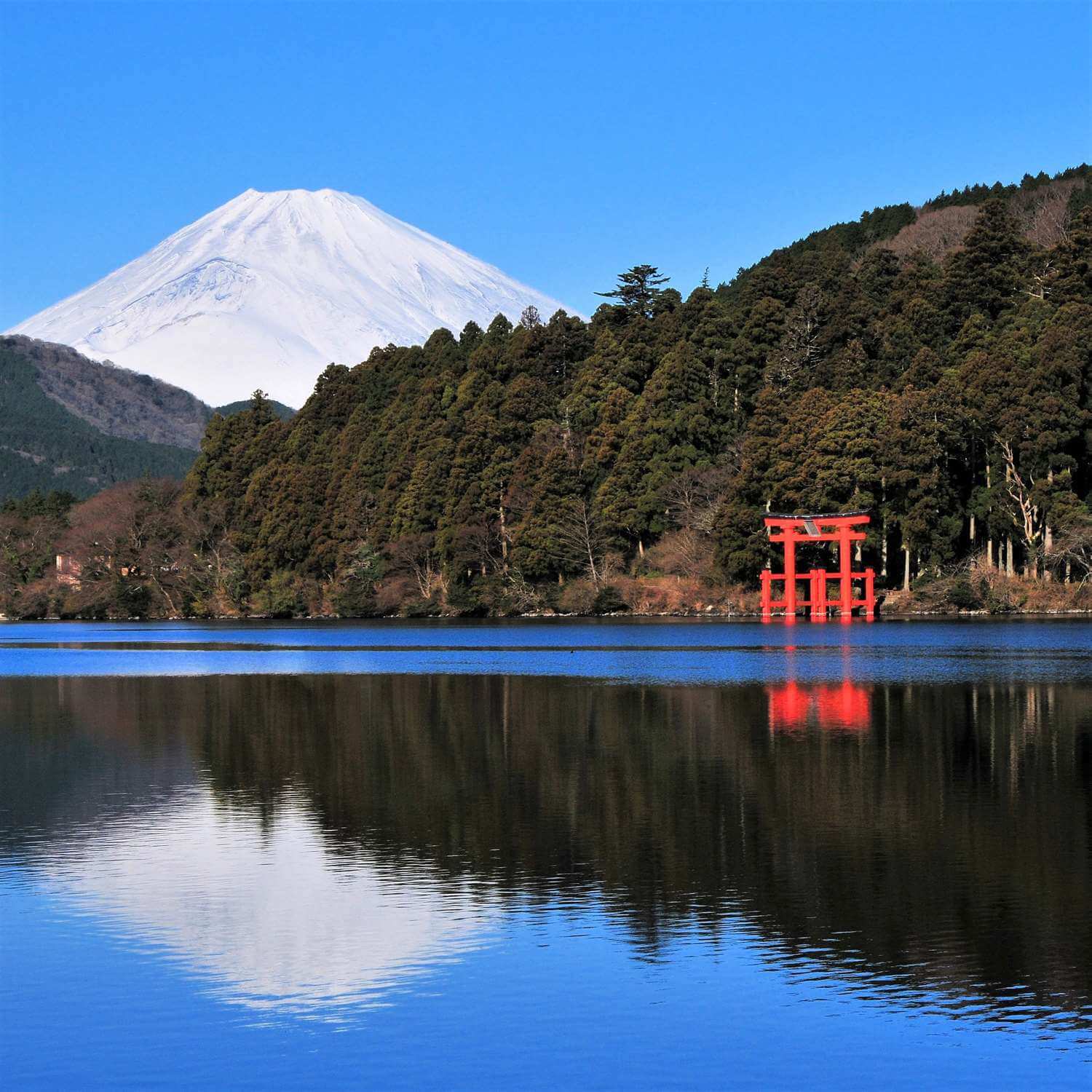 Hakone Shrine in Kanagawa Prefcture = Shutterstock 9