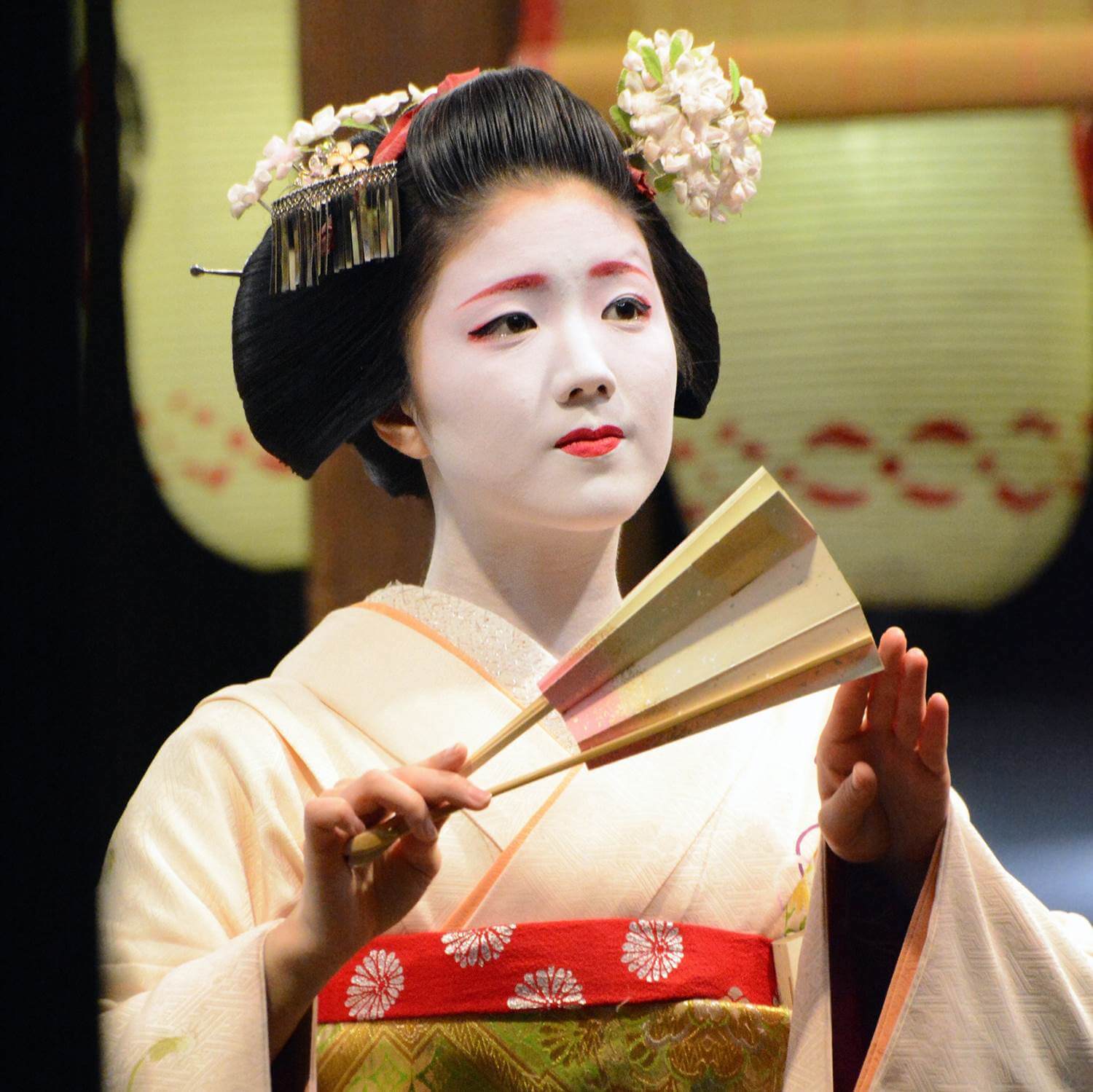 Photos of Gion = Shutterstock 9