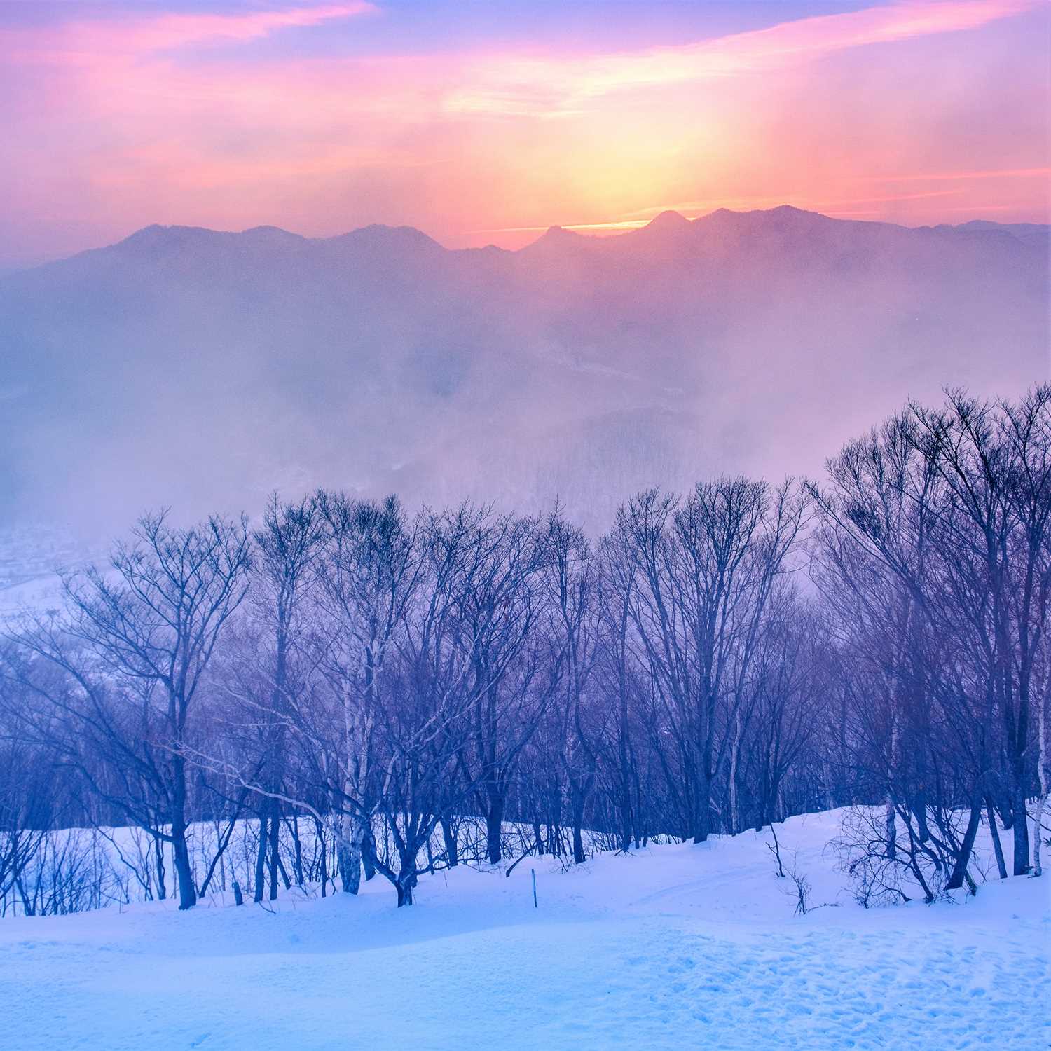 Mt. Moiwa in Sapporo = Shutterstock 7