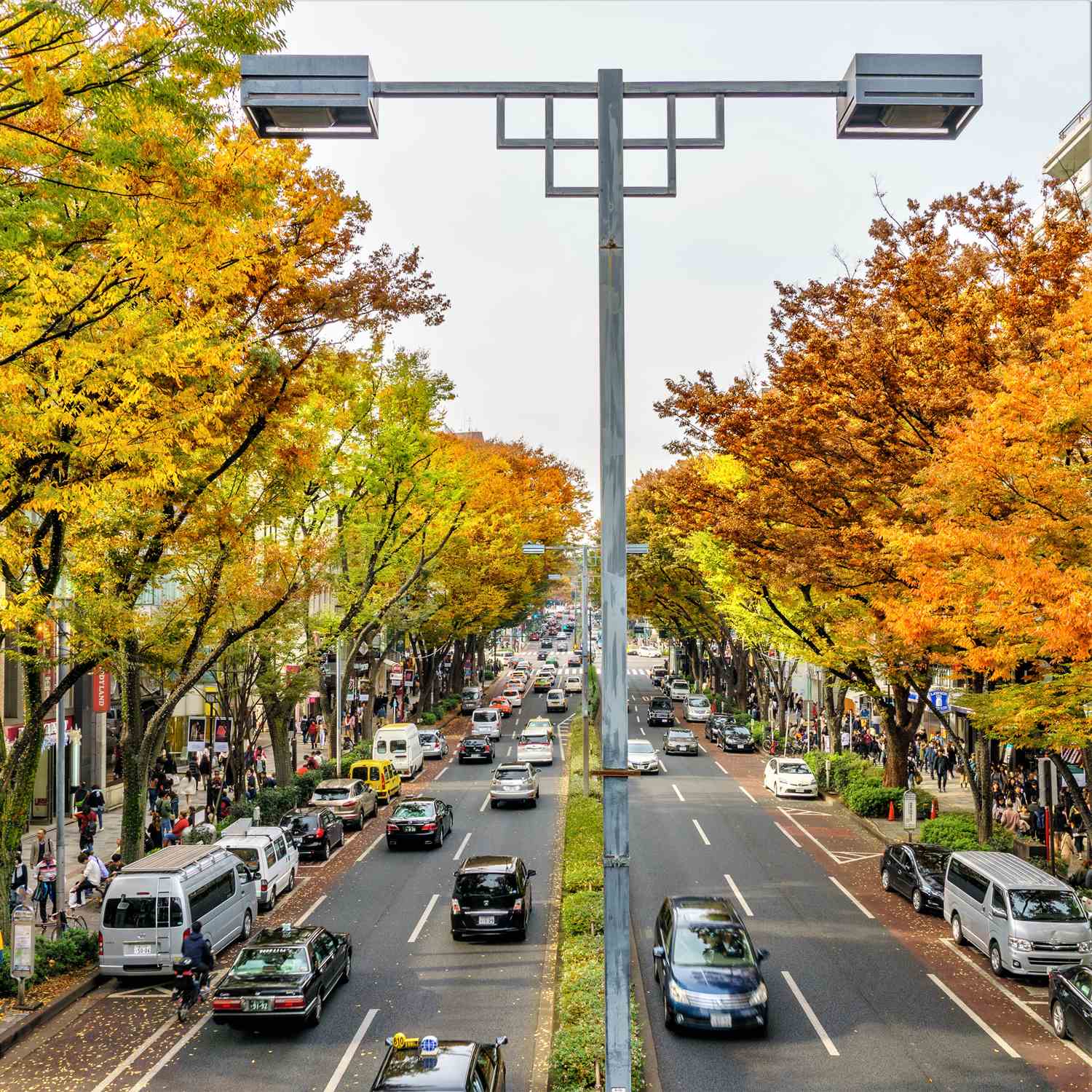 Omotesando in Tokyo = Shutterstock 8