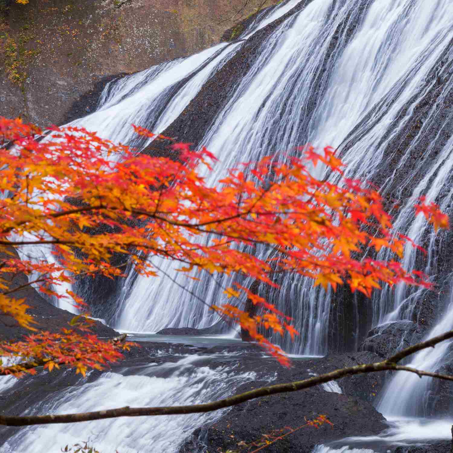 Fukunoda-no-Taki (Fukuda Waterfall ) in autumn = Shutterstock 5
