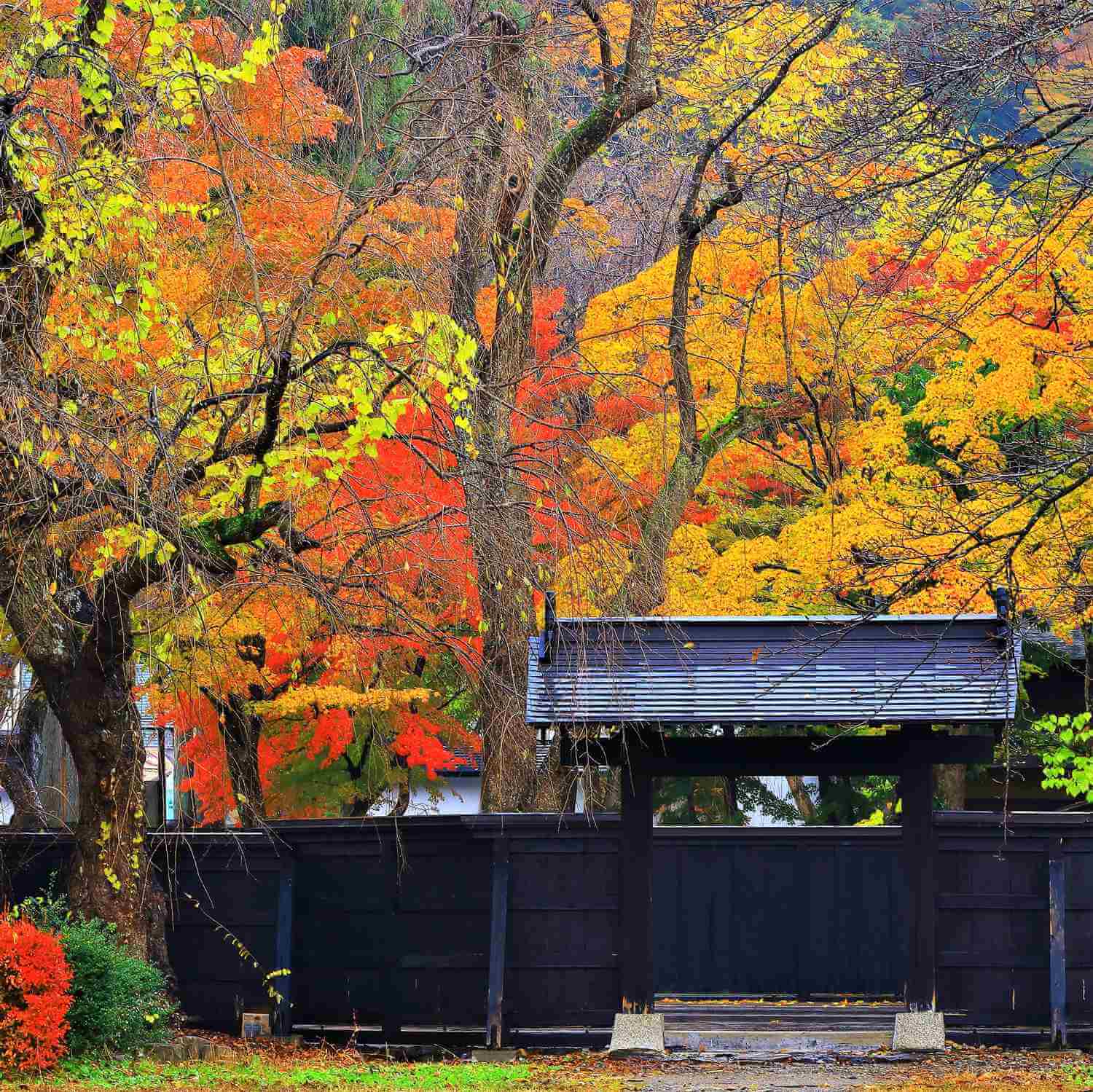 Samurai residence in Kakunodate, Akita = Shutterstock 7