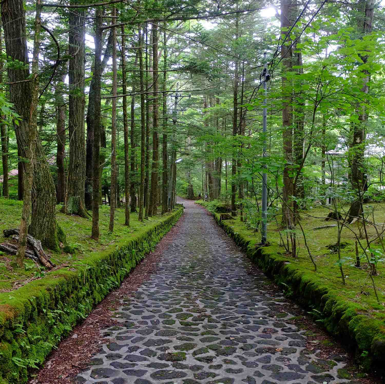 A beautiful villa area called "Happy Valley" spread near Kyu-Karuizawa, Nagano Prefecture = Shutterstock