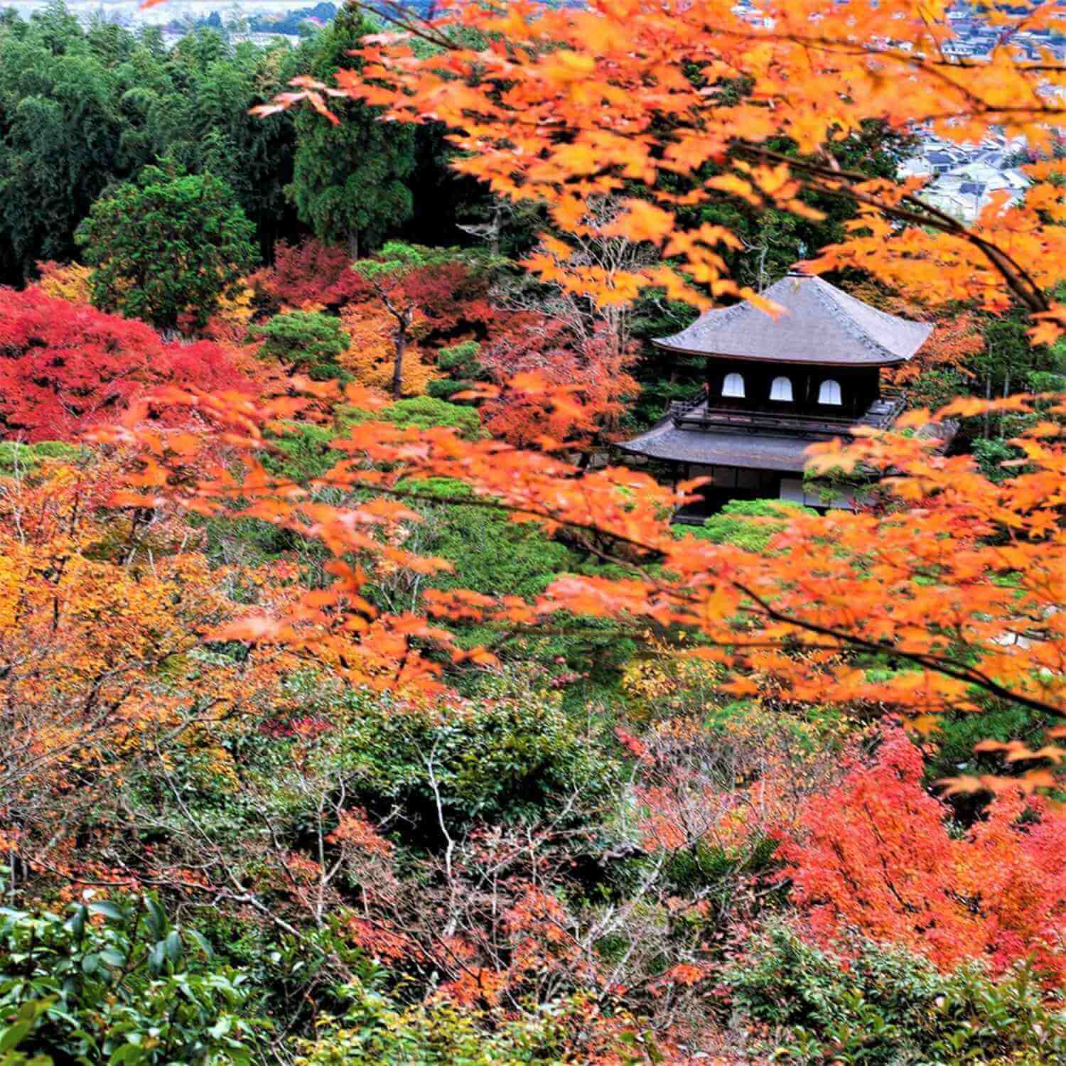Ginkakuji Temple in Kyoto, Japan = Shutterstock 2