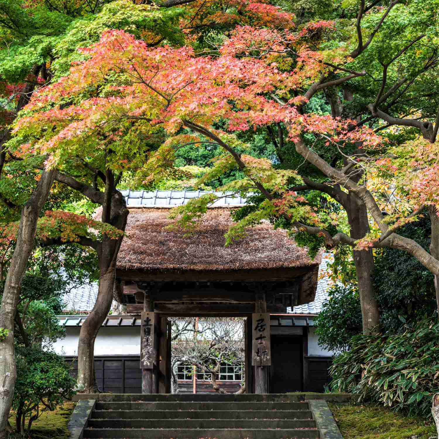 Kamakura in Kanagawa Prefecture 7