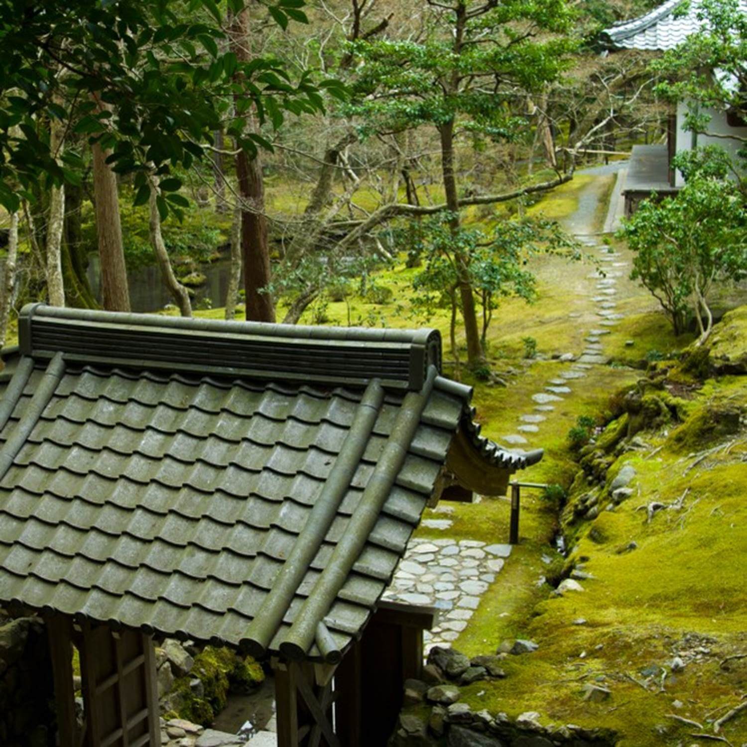 Saihoji Temple in Kyoto