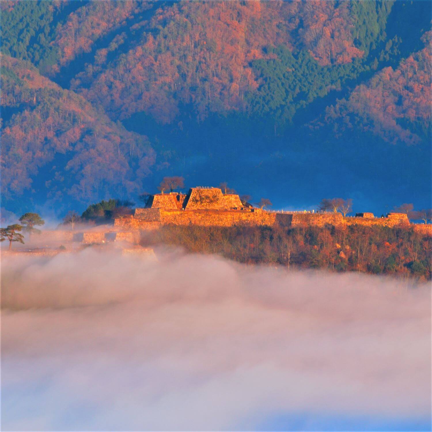 Takeda Castle Ruins in Asago City, Hyogo Prefecture = AdobeStock 1