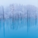 Blue Pond in Biei, Hokkaido = Shutterstock 1