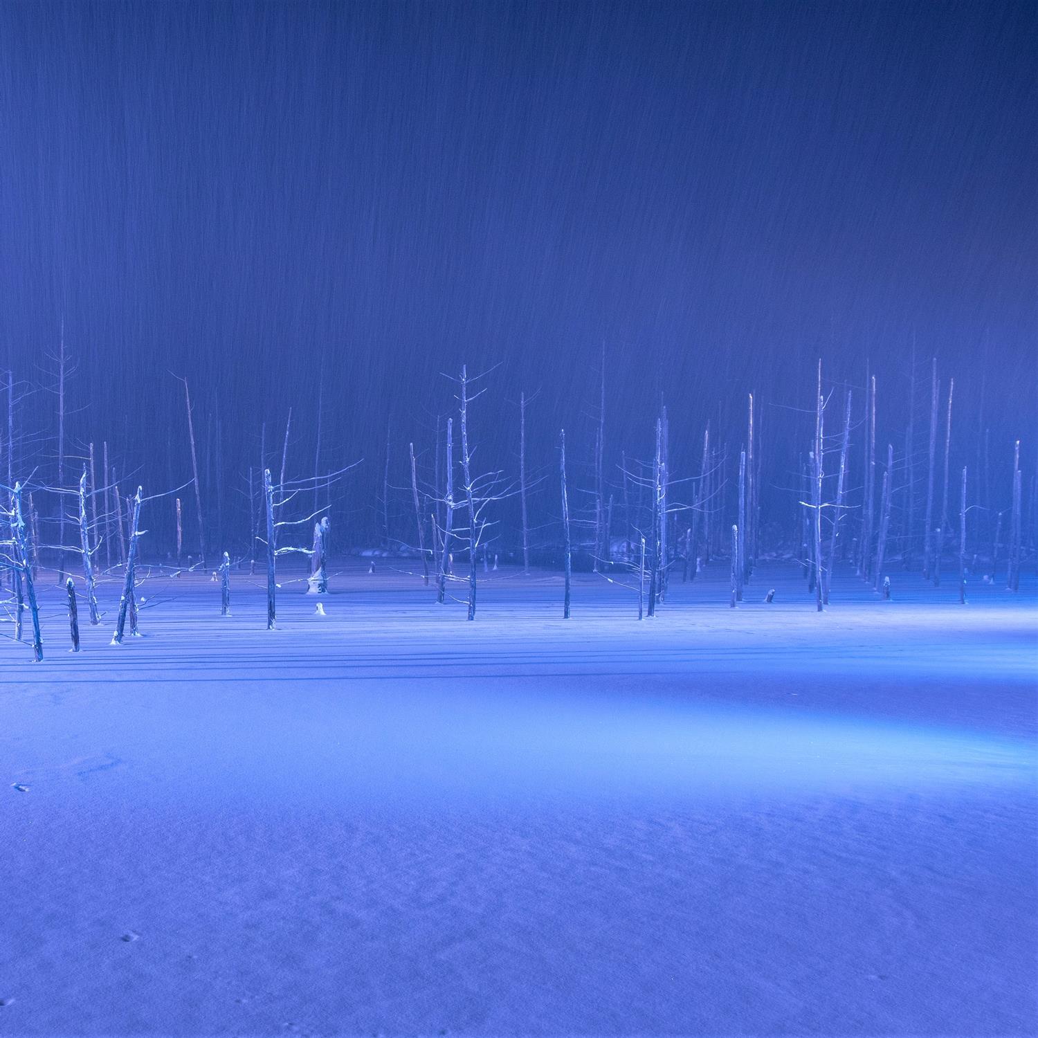 Blue Pond in Biei, Hokkaido = Shutterstock 7