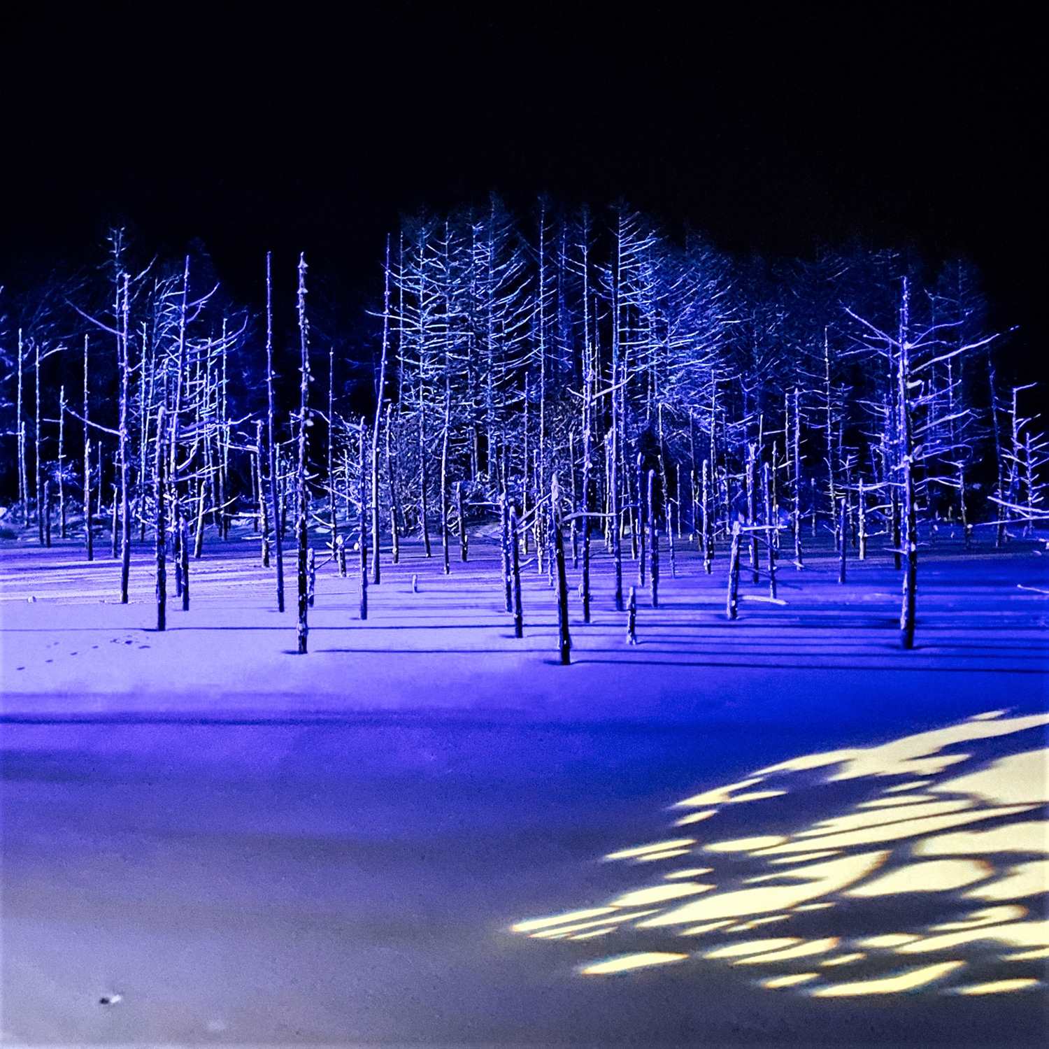 Blue Pond in Biei, Hokkaido = Shutterstock 9