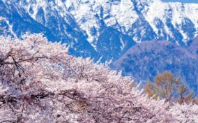 Kai-Komagatake, which straddles Nagano and Gifu prefectures = Shutterstock
