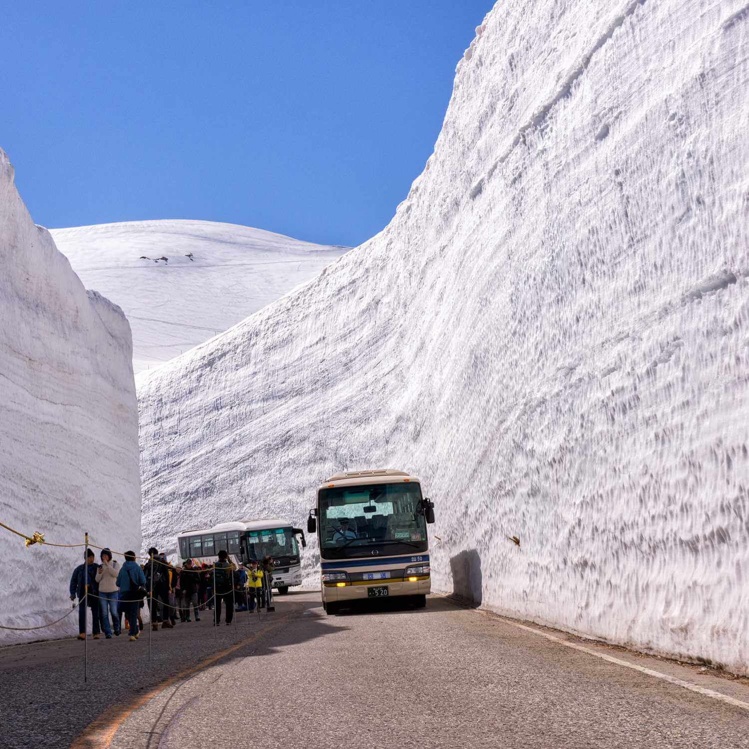 In the Tateyama mountain range in Toyama Prefecture, roads that have been closed by snow for the winter reopen in late April = Shutterstock