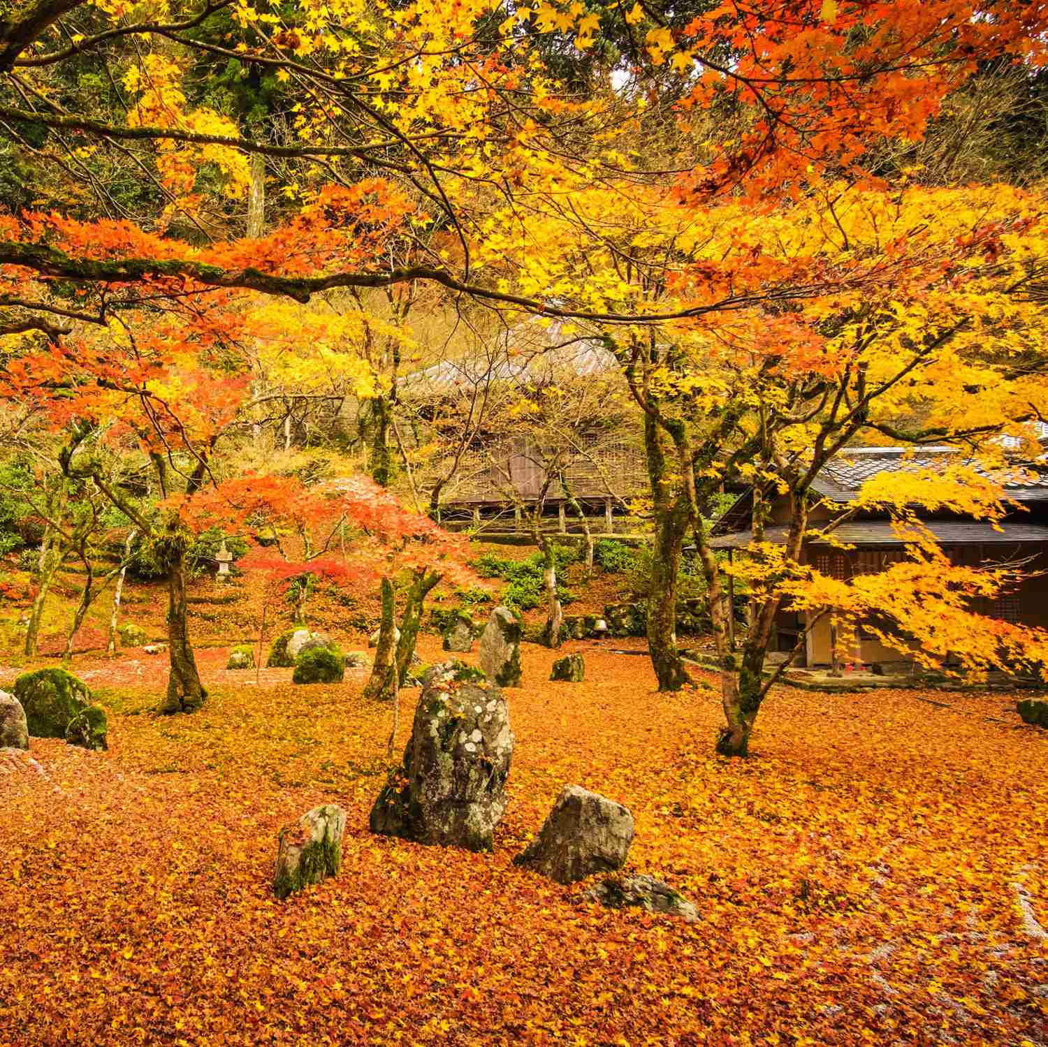 Komyozen-ji Temple in Fukuoka Prefecture = Shutterstock 10
